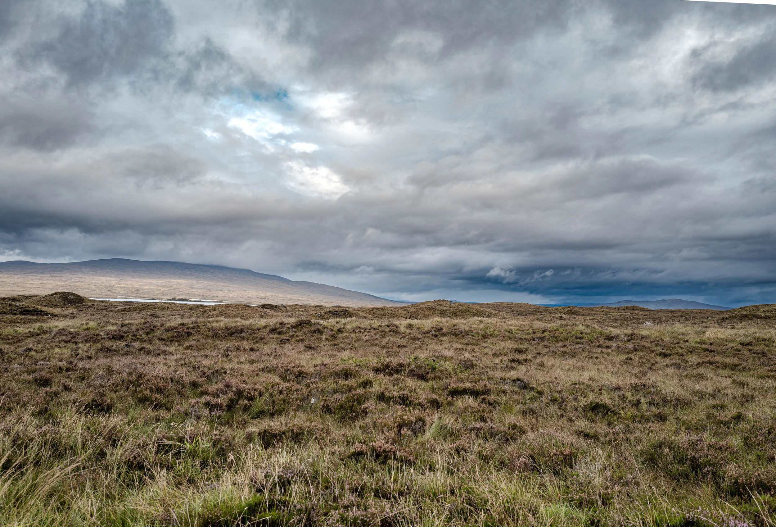 Square Space Scotland -55.jpg