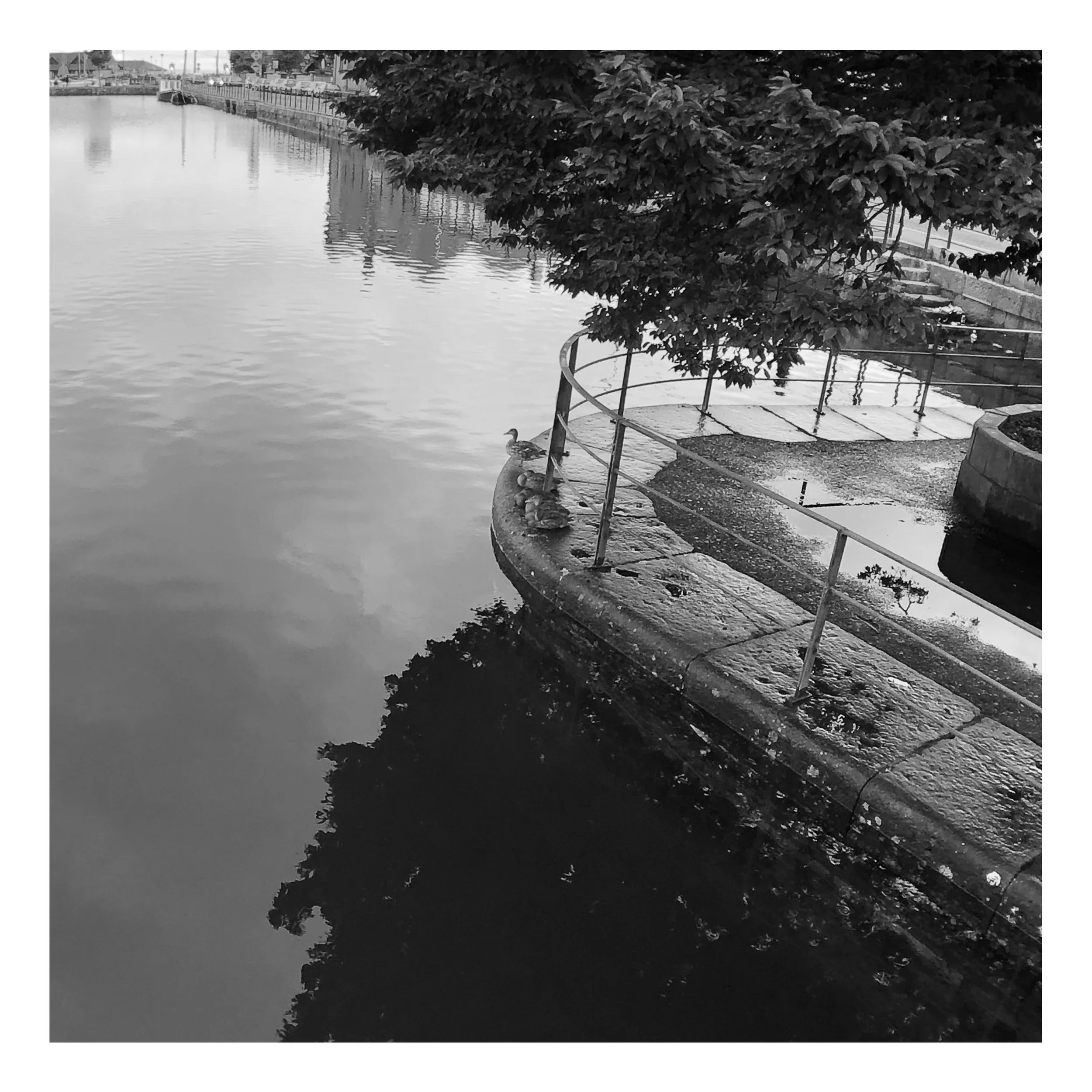 Square%20Space%20Ireland-054 74 Edited.jpg