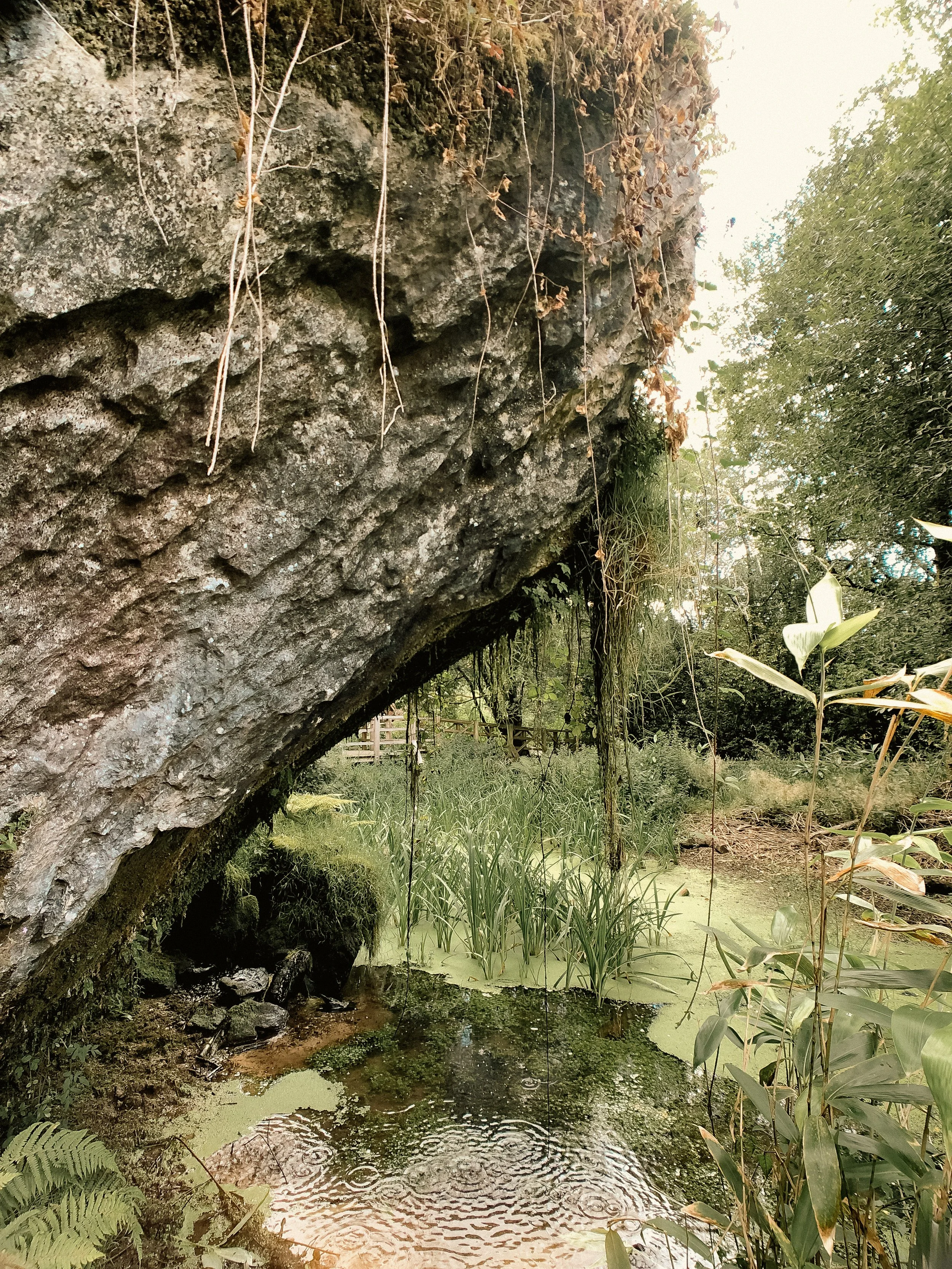 Ireland Square Space-078.jpg