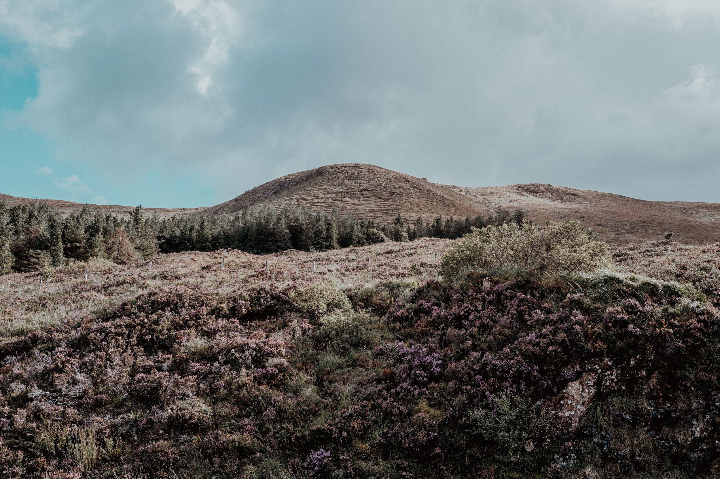 Square Space Scotland -78.jpg