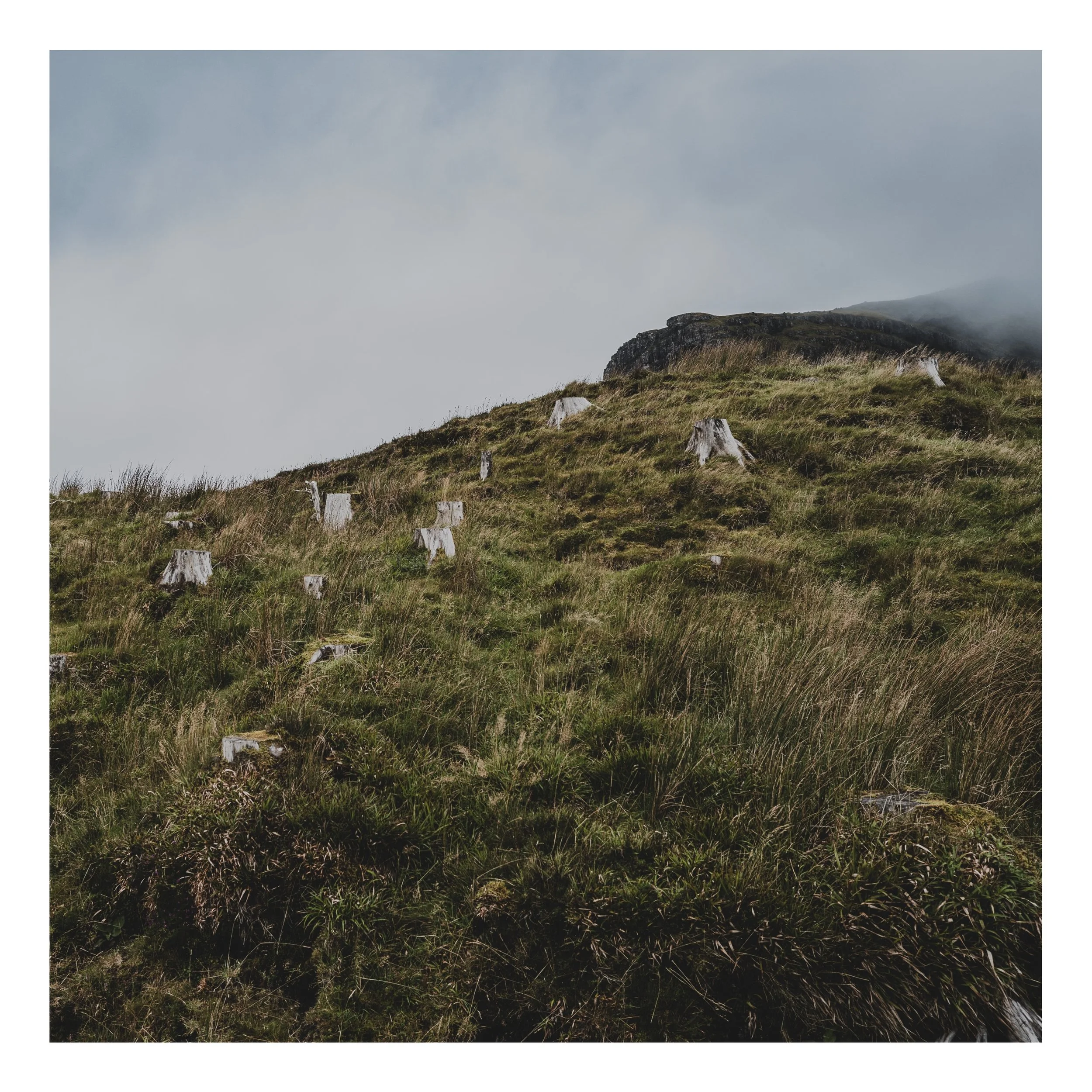 Square%20Space%20Scottland-118 90 Edited.jpg