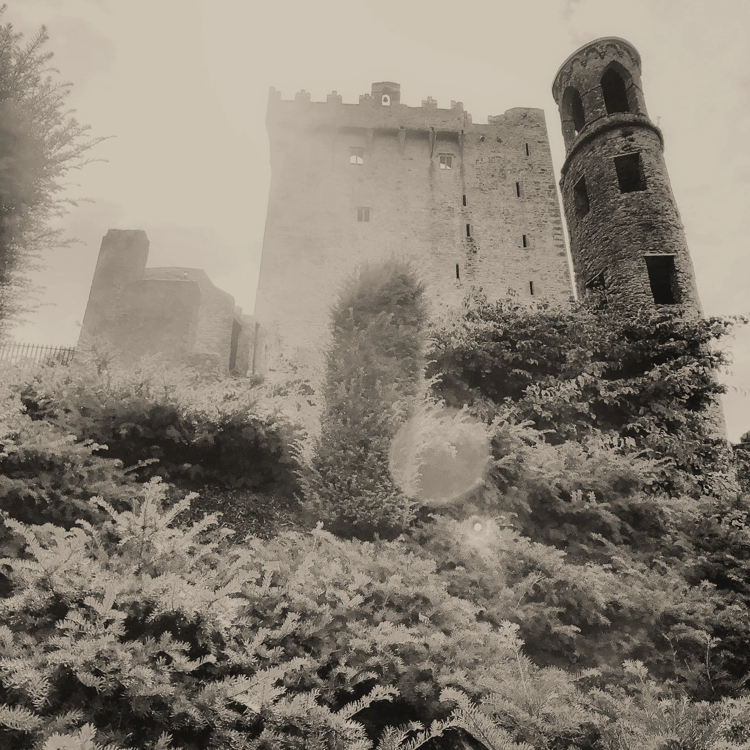 Ireland Square Space-087.jpg