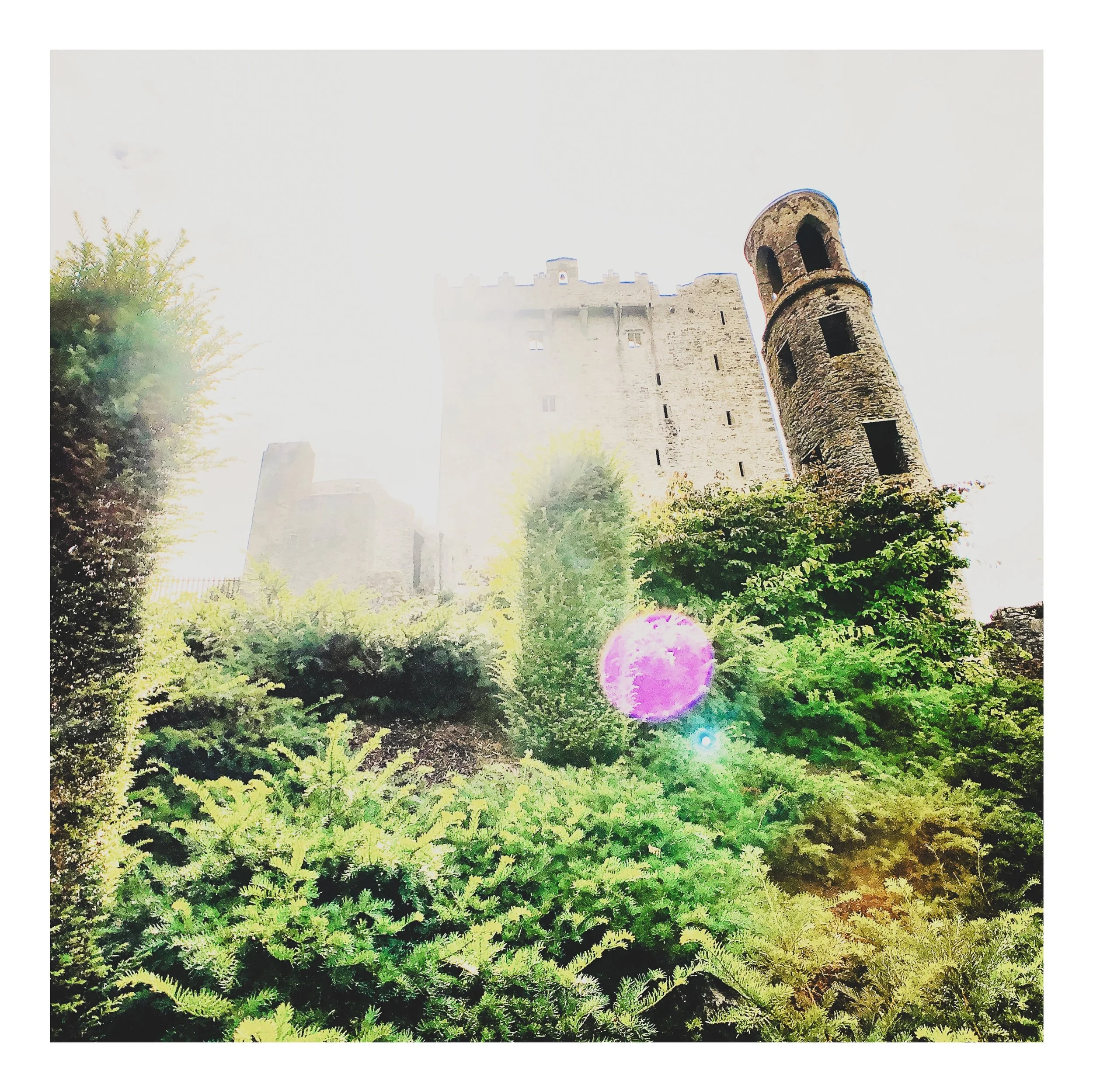 Square%20Space%20Ireland-087 41 Edited.jpg