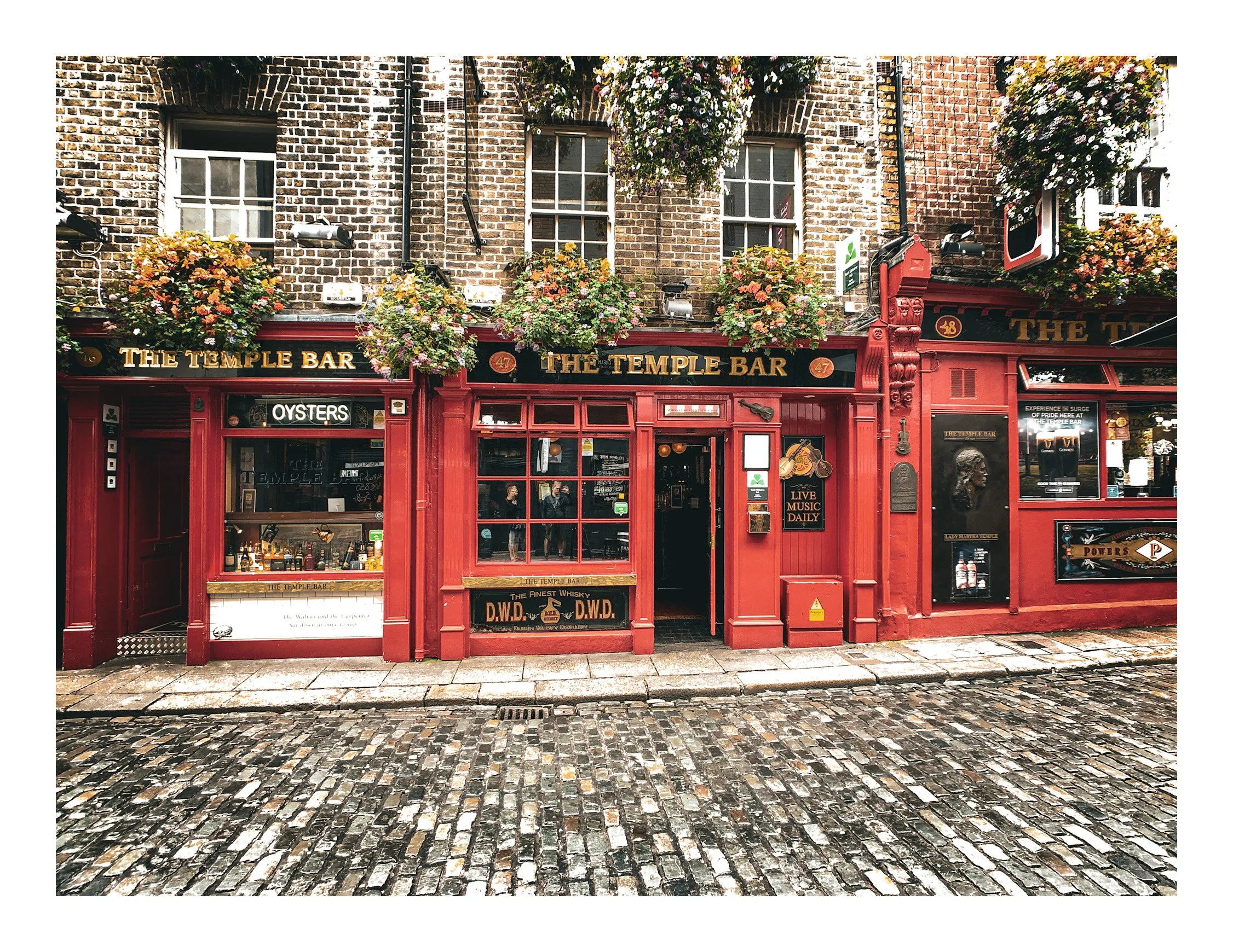 Red exterior of The Temple Bar pub with hanging flower baskets, cobblestone street in front, and windows displaying signs for oysters and live music.