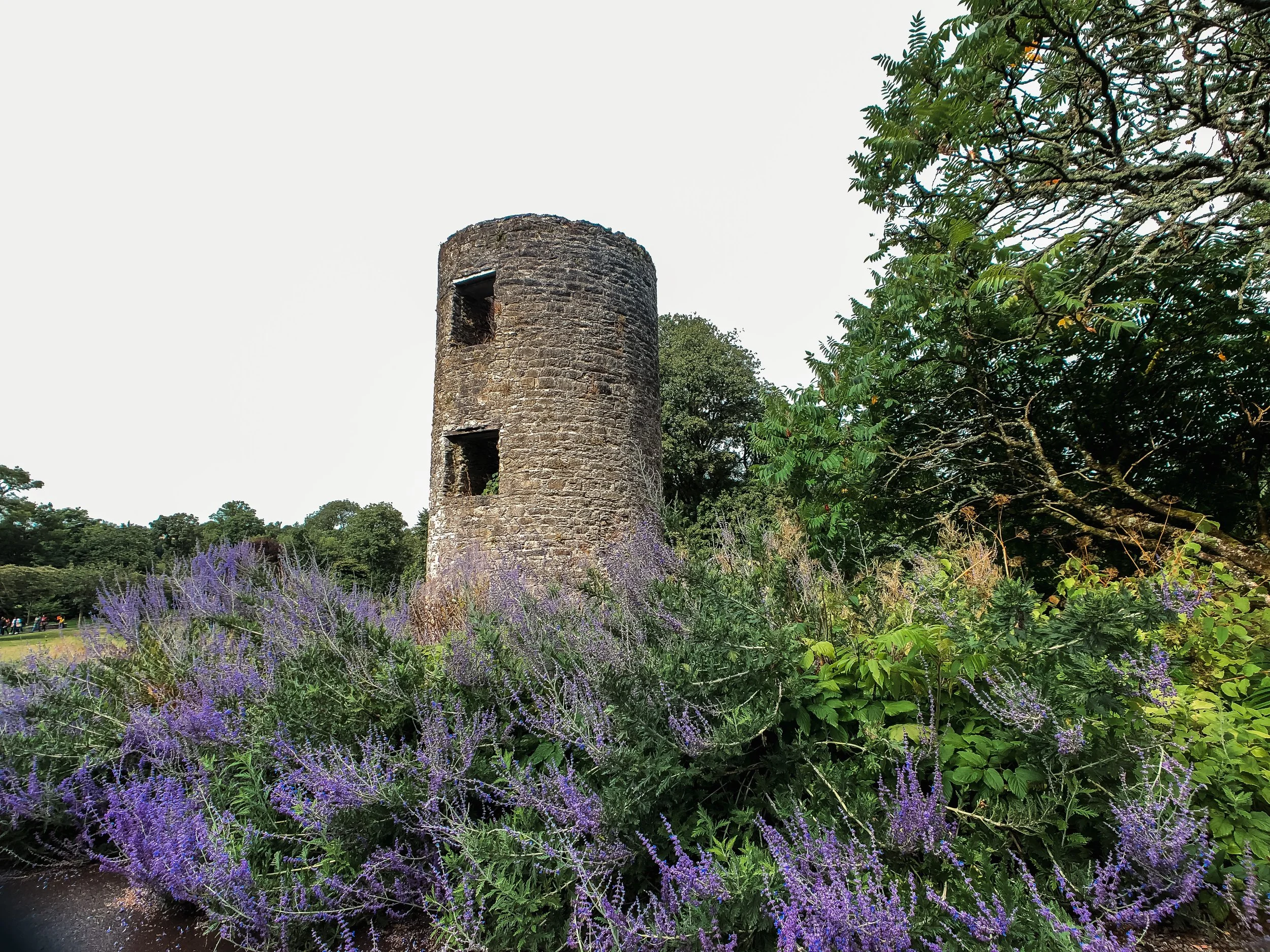 Ireland Square Space-089.jpg