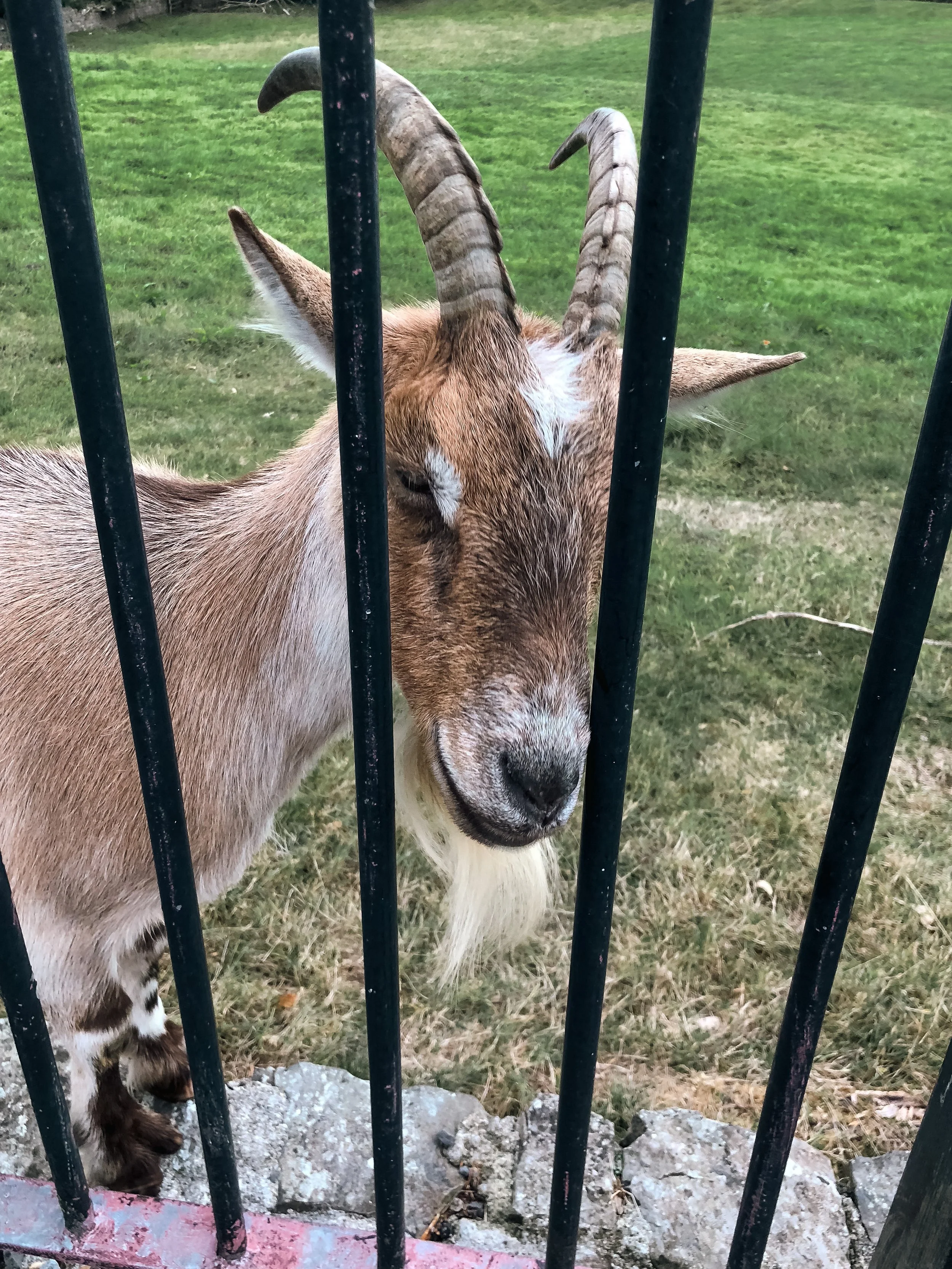 Ireland Square Space-006.jpg