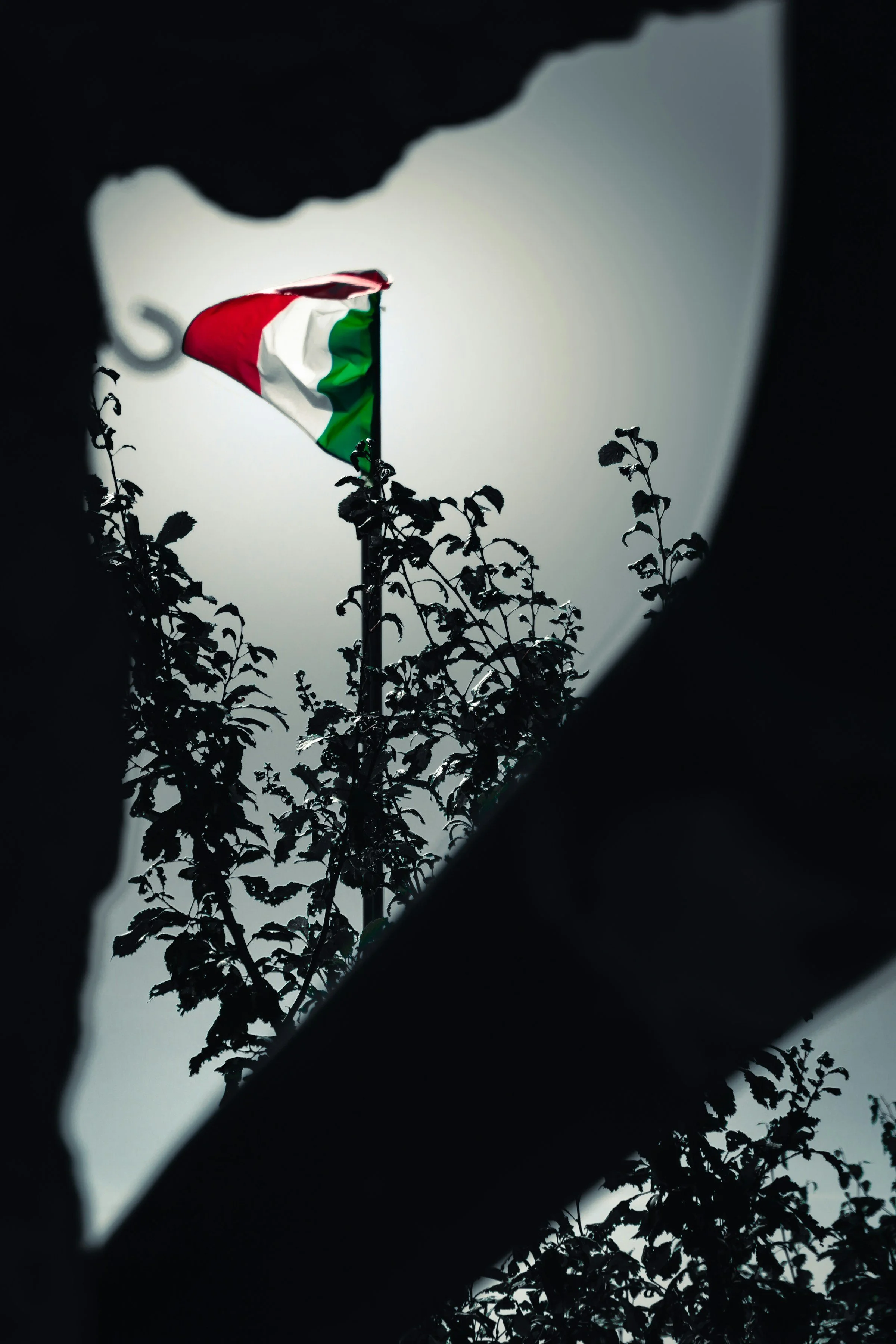 The flag of Italy, featuring green, white, and red vertical stripes, is seen through a hole in a dark surface with tree branches in the foreground.