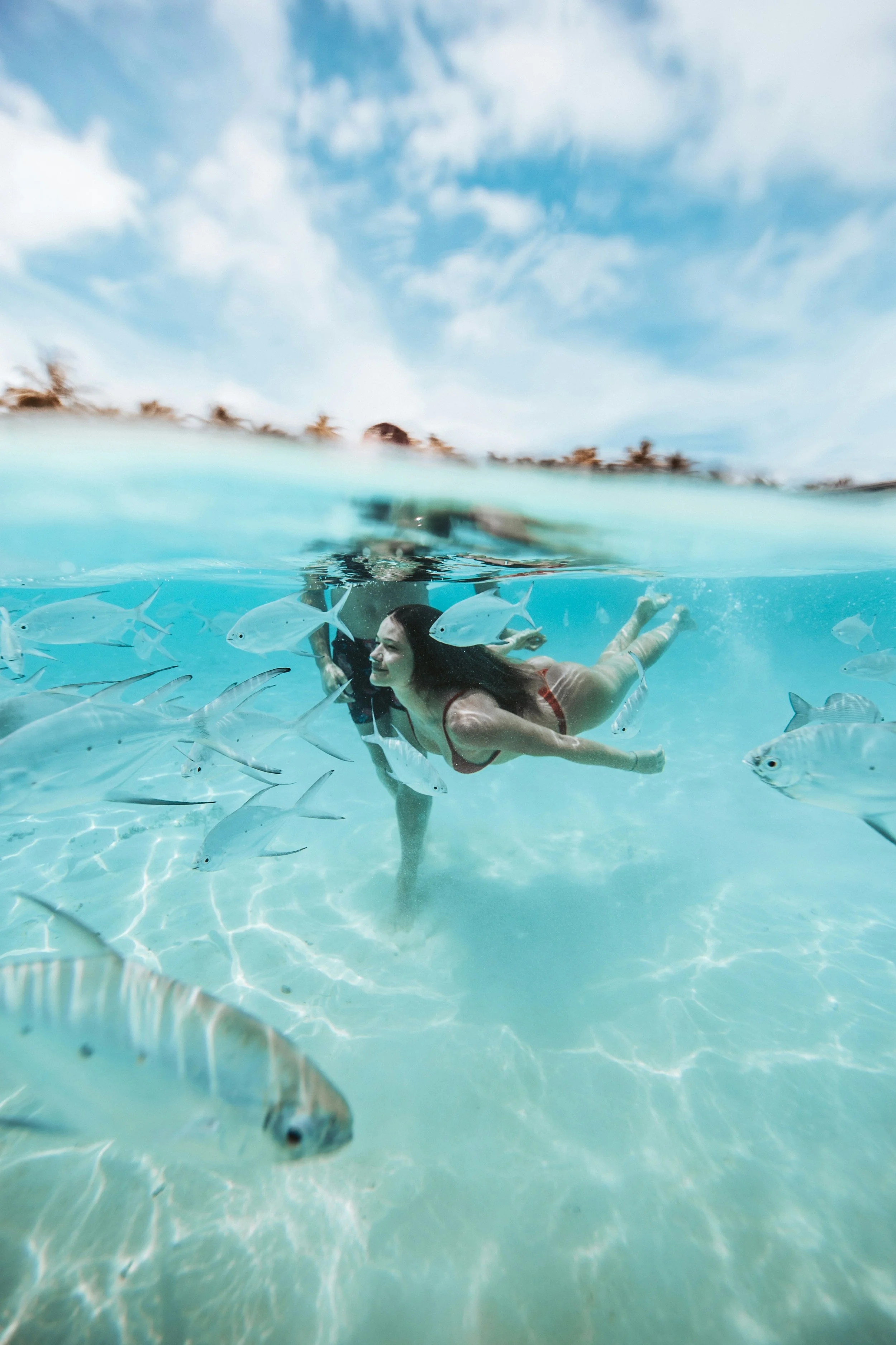 A woman swimming underwater with fish surrounding her in the ocean during daytime.