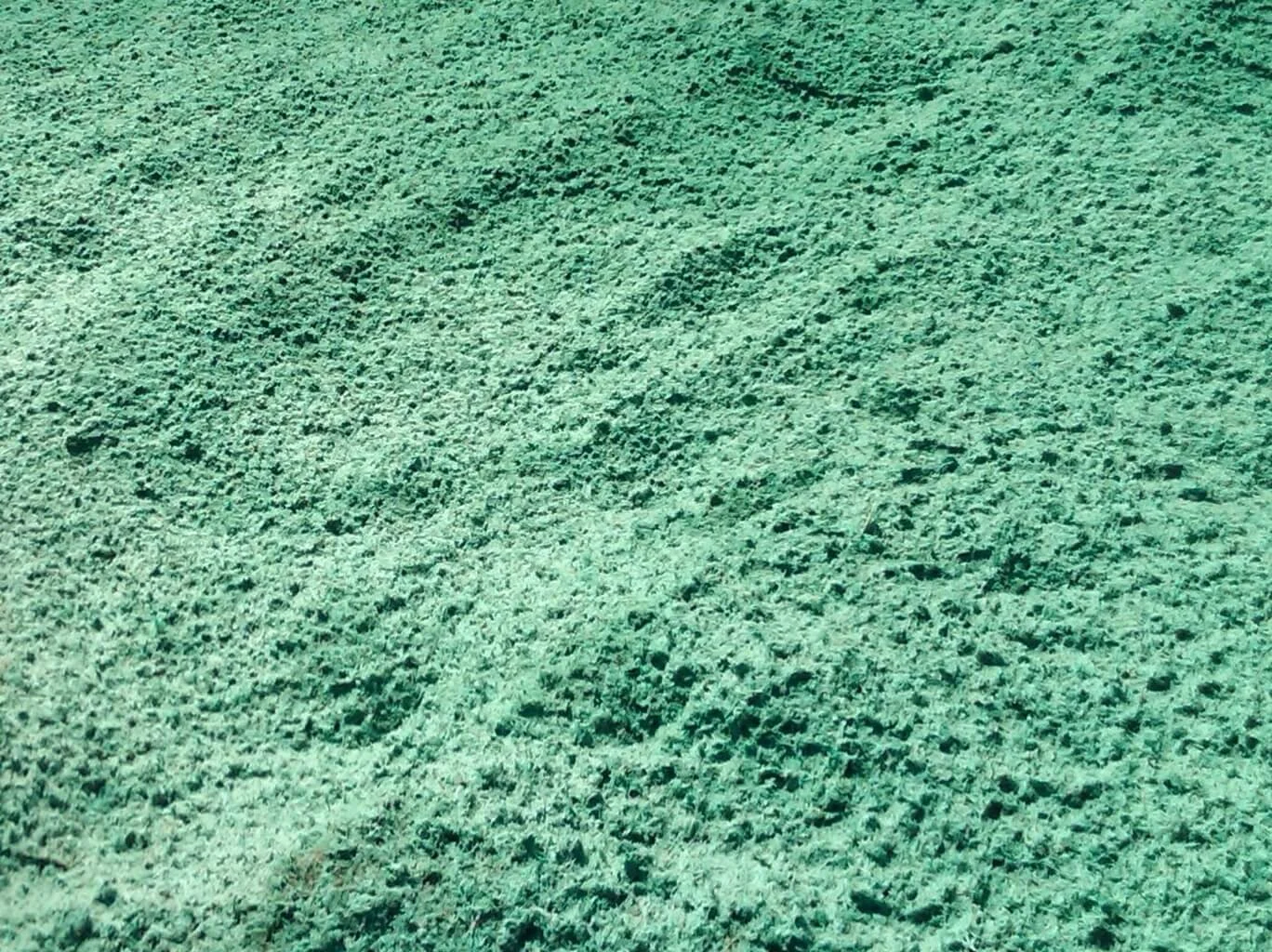 Underwater sandy ocean floor, some faint fish tracks or markings.