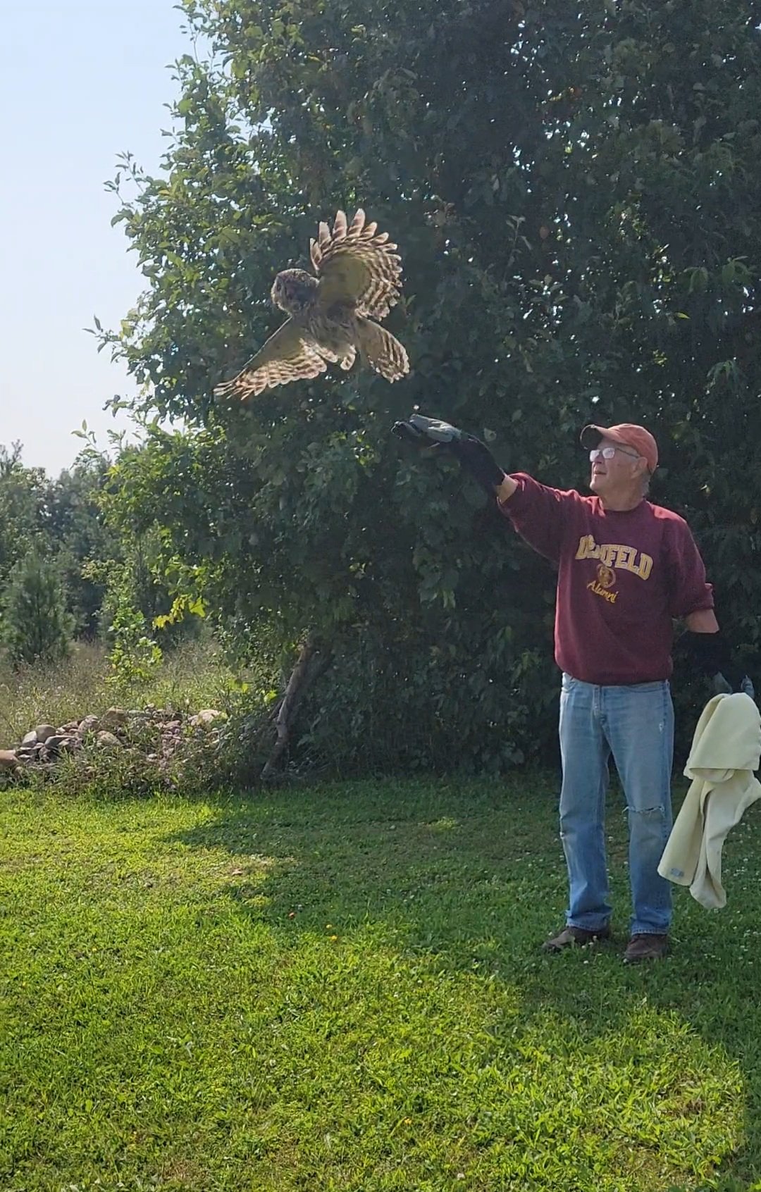VideoCapture_20240819-141404.jpg