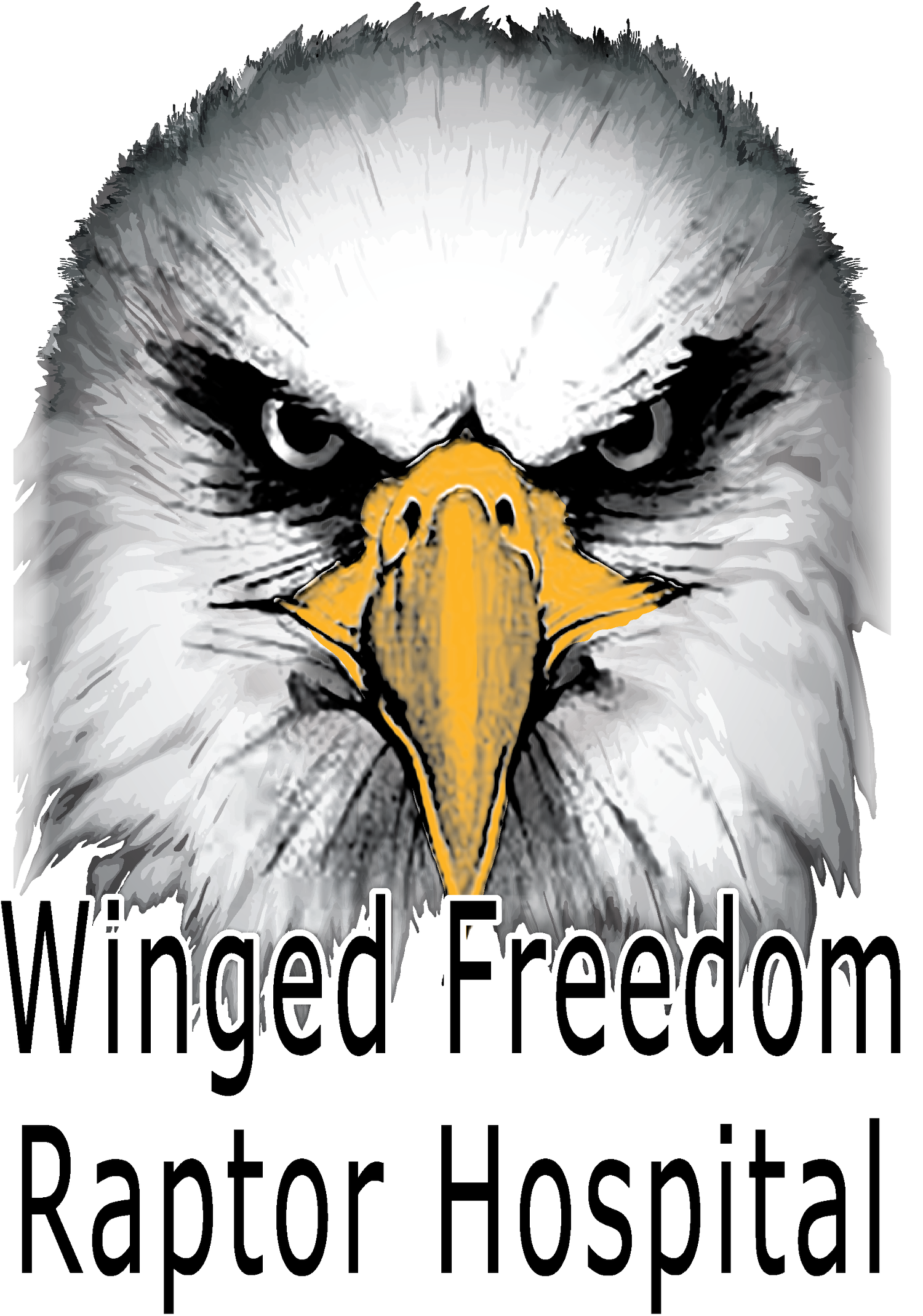 WINGED FREEDOM