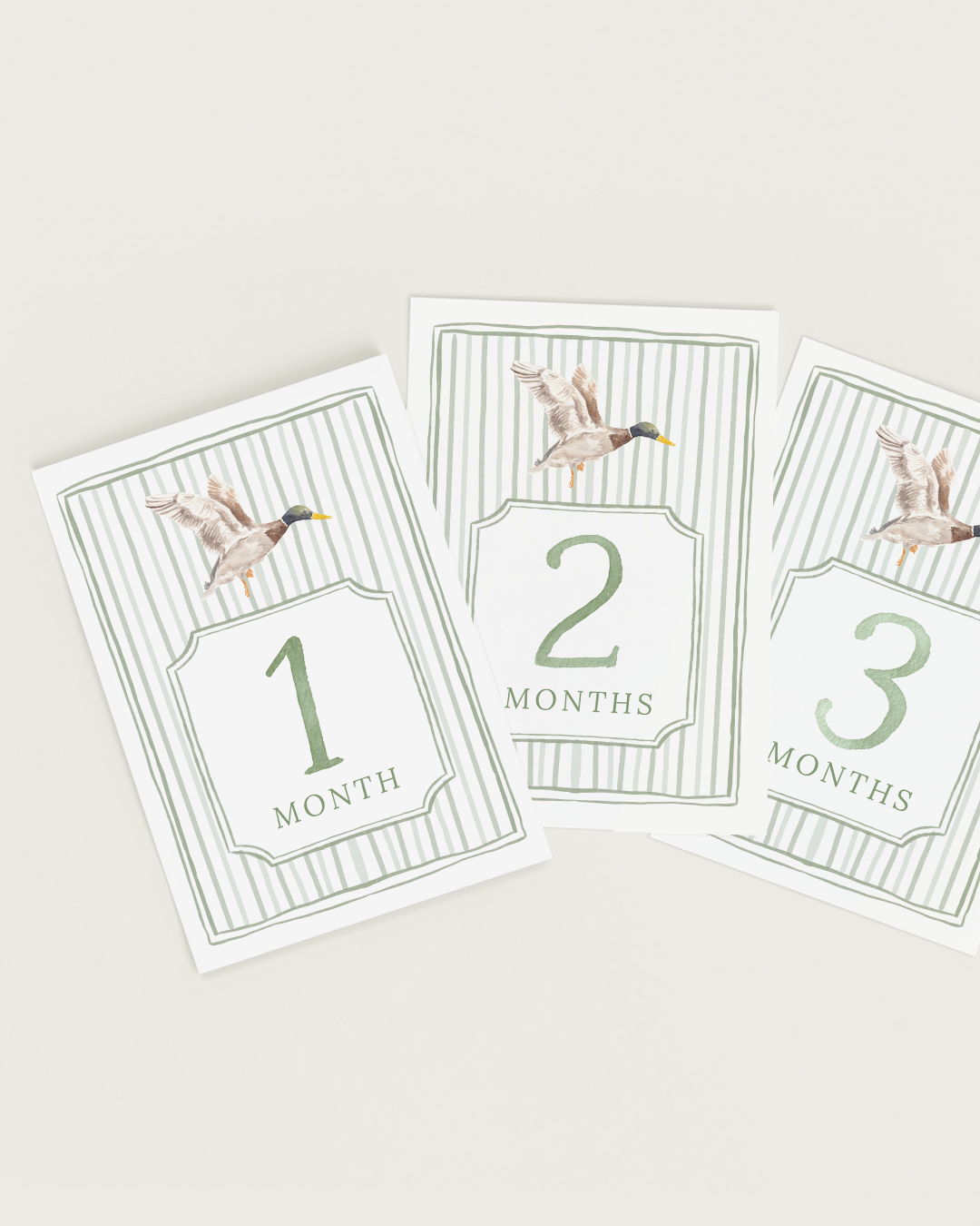 Mallard 12 Month Milestone Cards