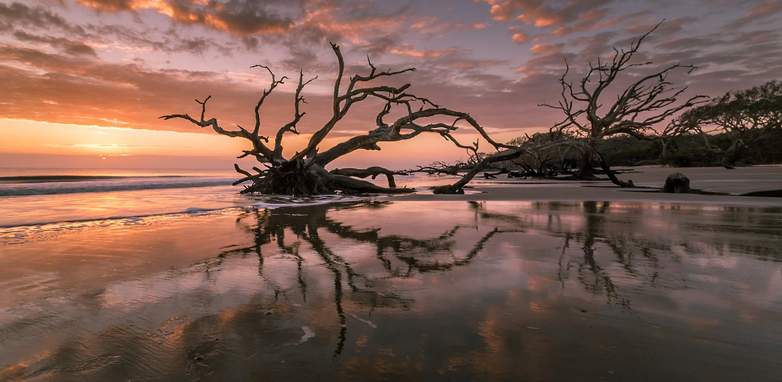 IMG_5673-PanoDriftwood_Xmas_Eve_Web 4000px.jpg