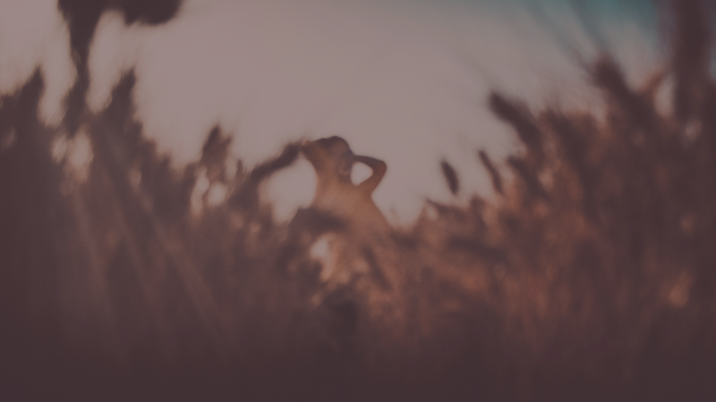 THE HEALER