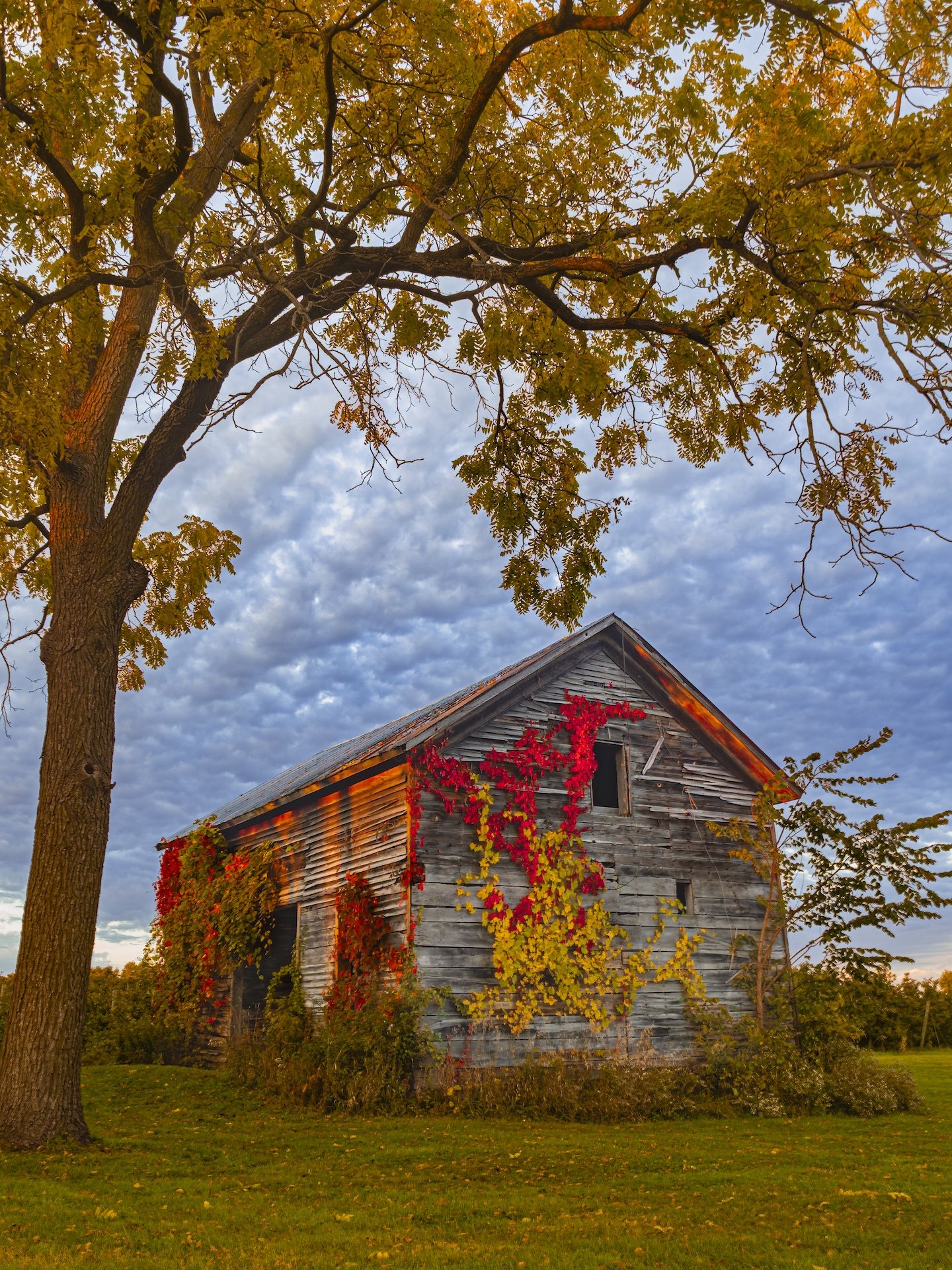 nordicbiker-square space.jpg-28.jpg