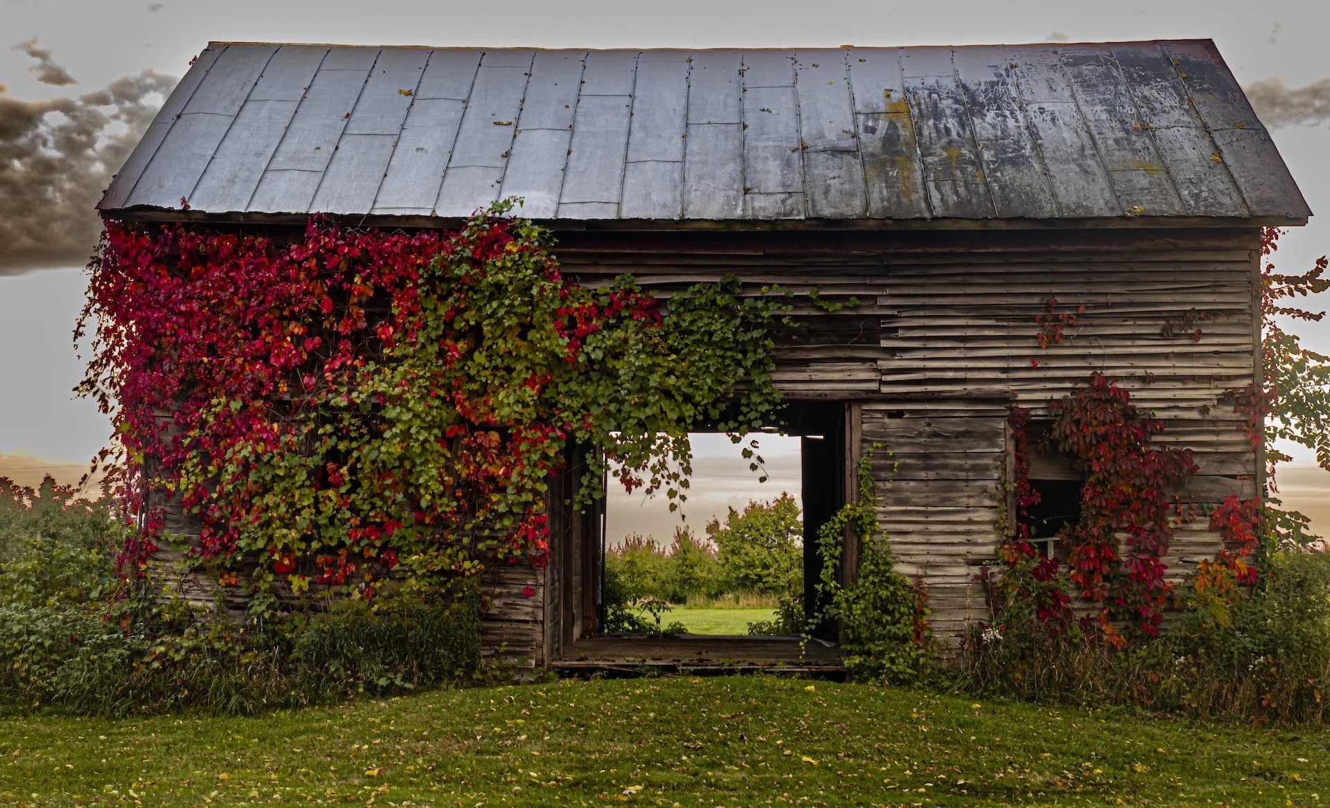 nordicbiker-square space.jpg-25.jpg