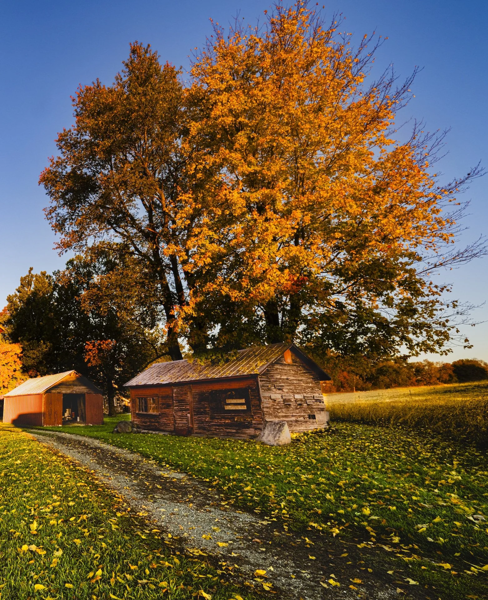 nordicbiker-square space.jpg-63.jpg