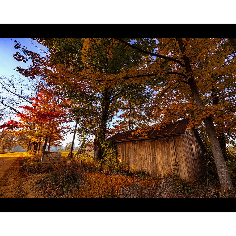 4x5 School Bus Stop.jpg