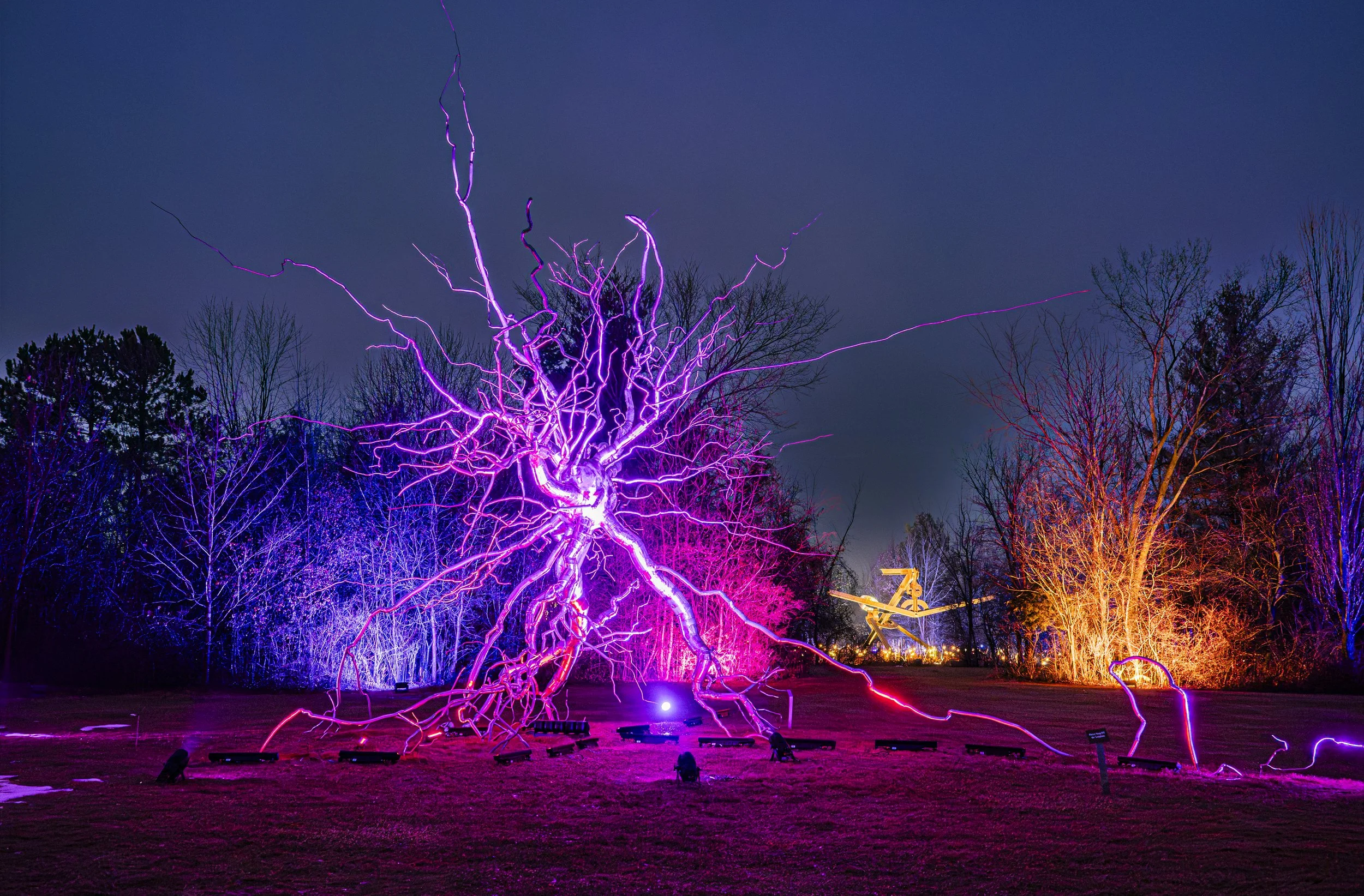 Electric Evening