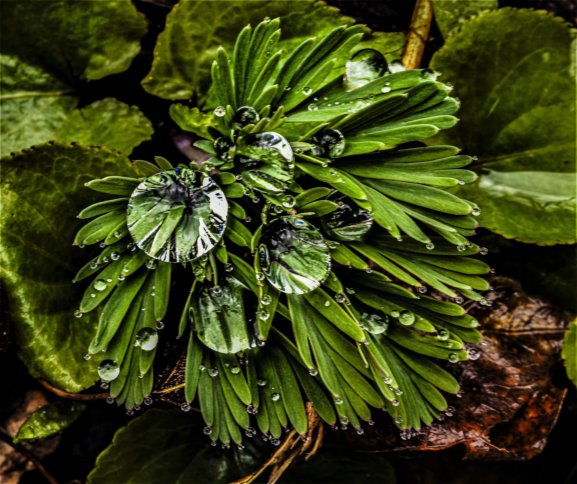 nordicbiker-square space.jpg-6.jpg