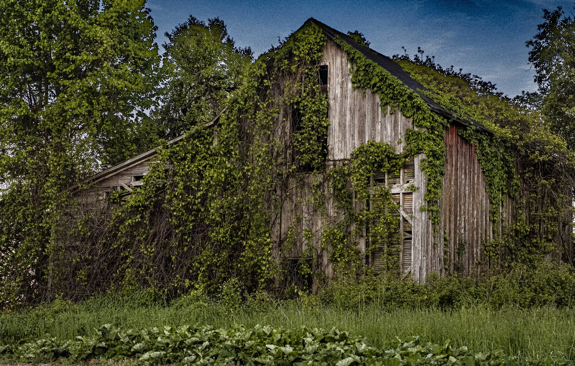 nordicbiker-square space.jpg-12.jpg