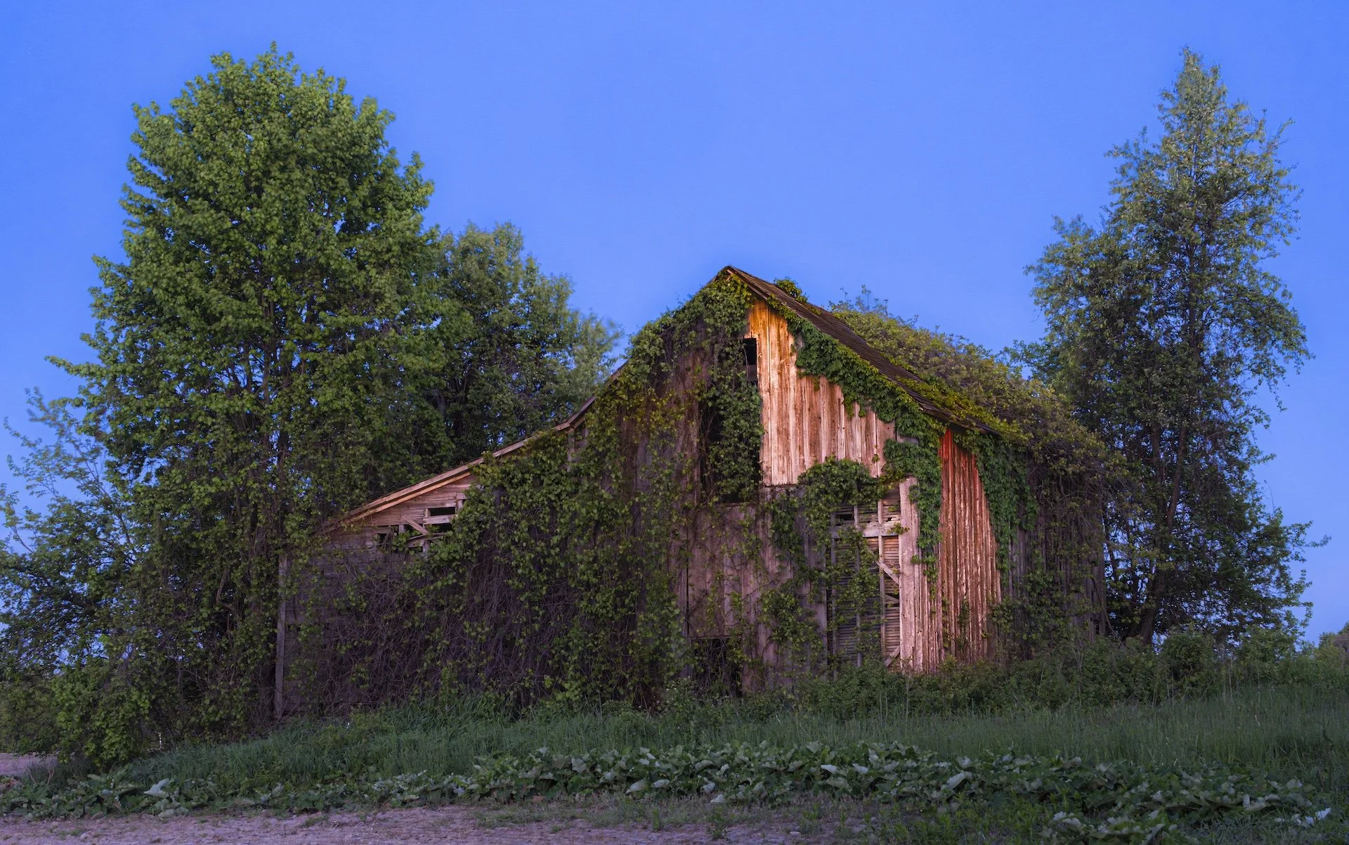 nordicbiker-square space.jpg-53.jpg