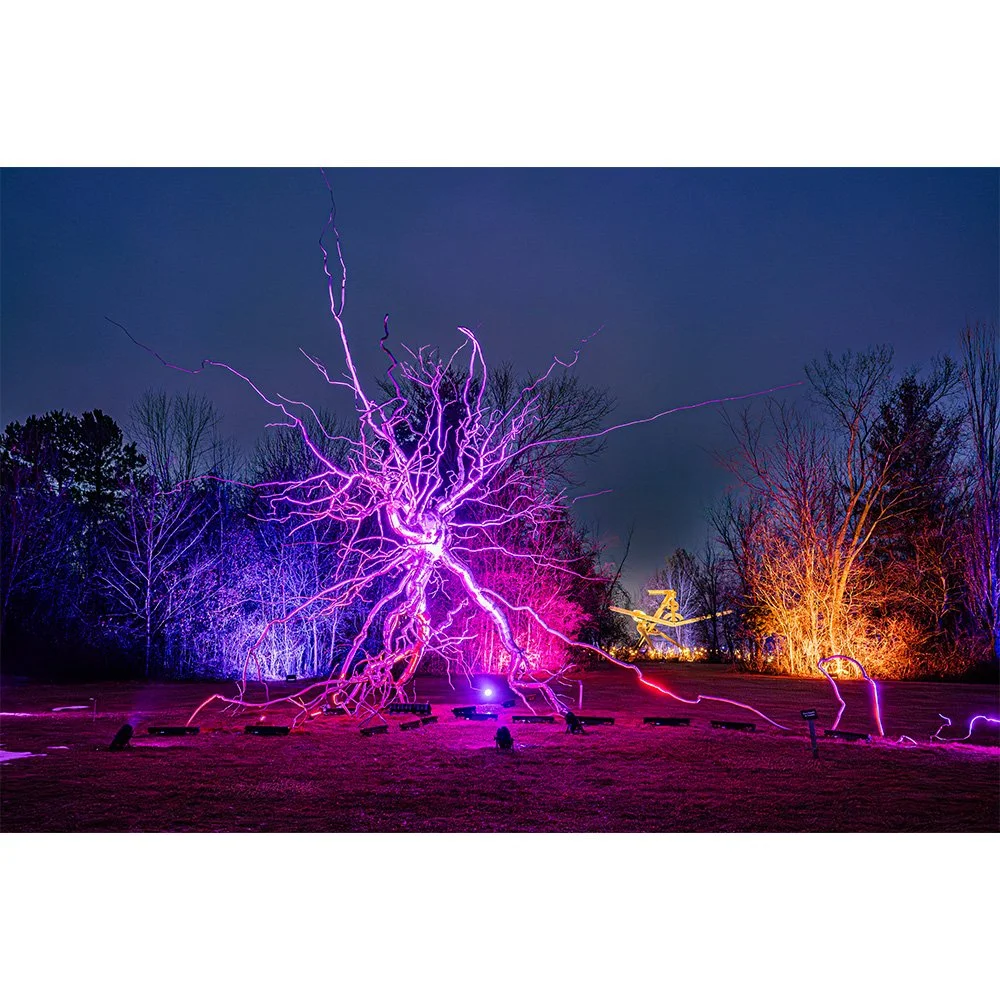 2x3 Electric Evening.jpg