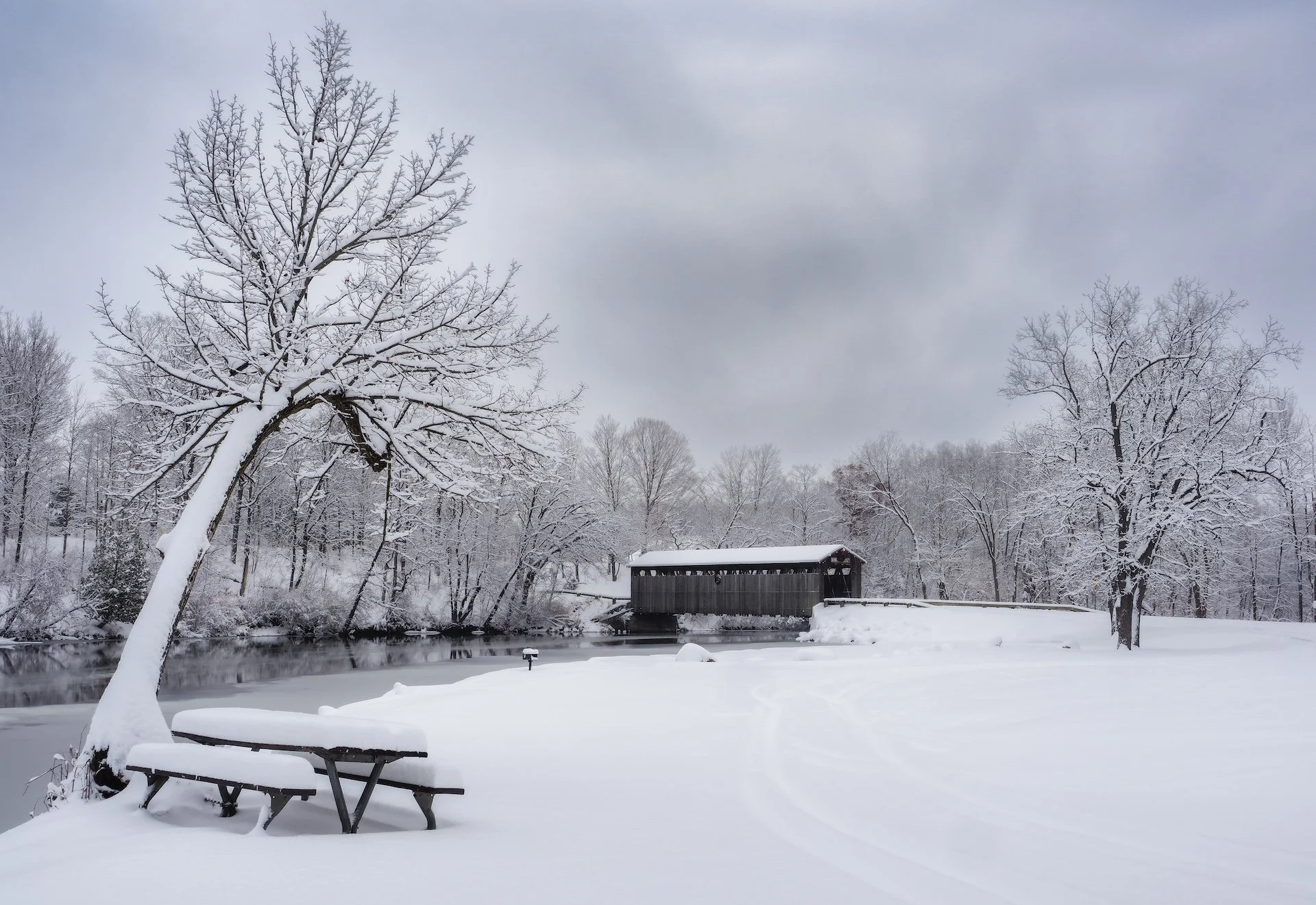 nordicbiker-square space.jpg-92.jpg