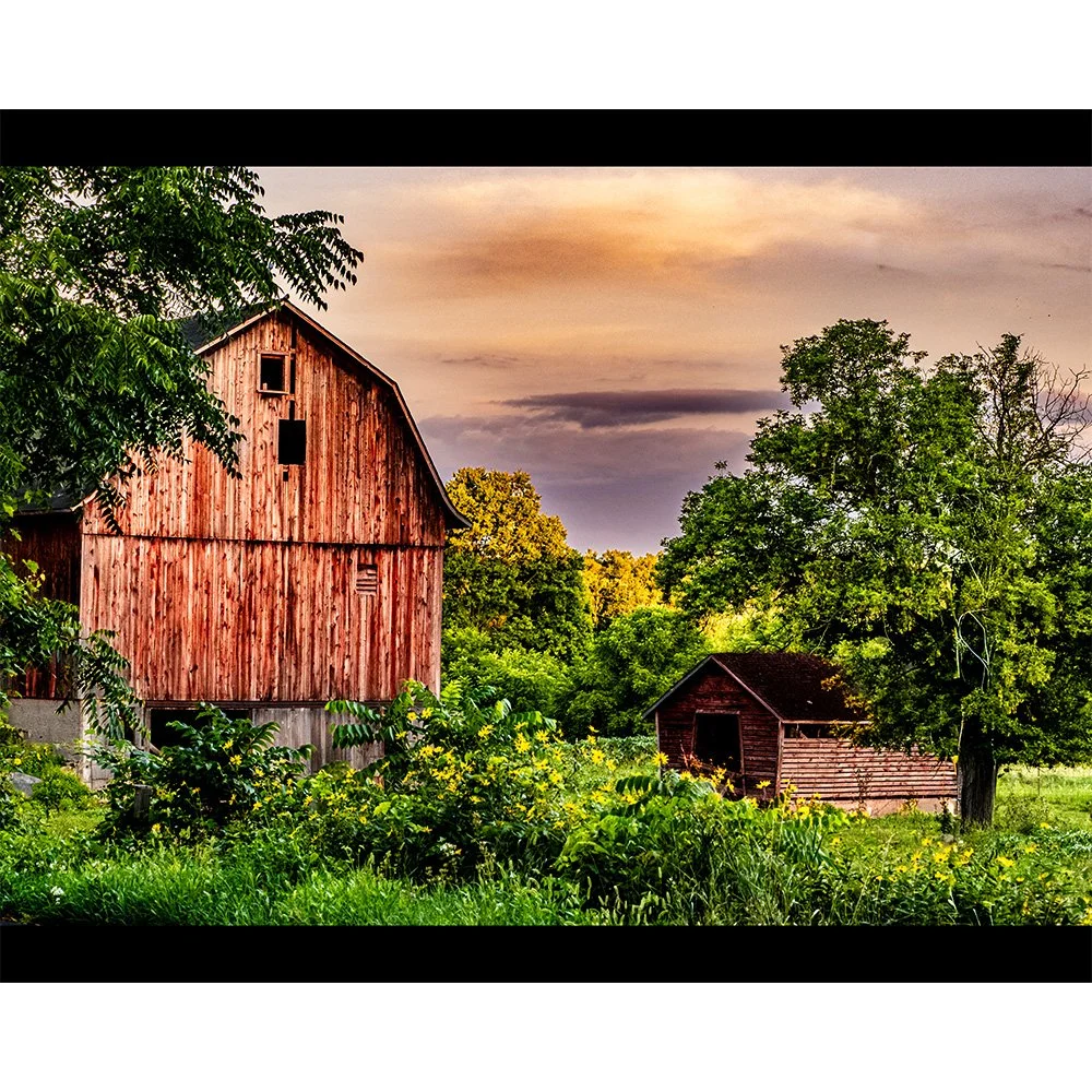 4x5 Cloudy Morning.jpg