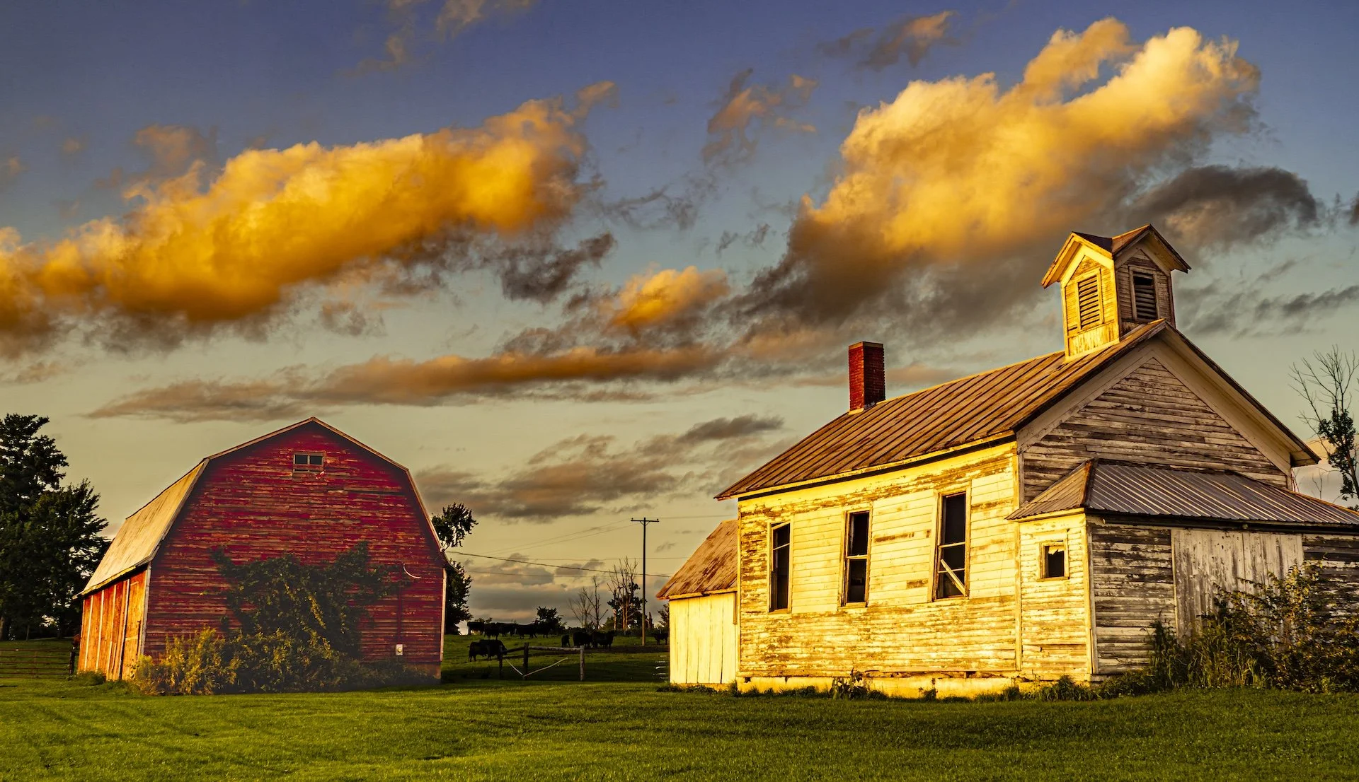 nordicbiker-square space.jpg-10.jpg