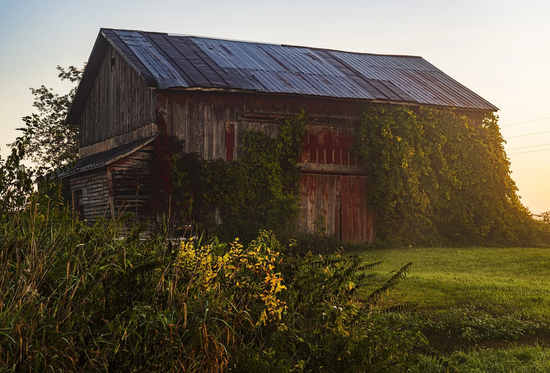 nordicbiker-square space.jpg-81.jpg