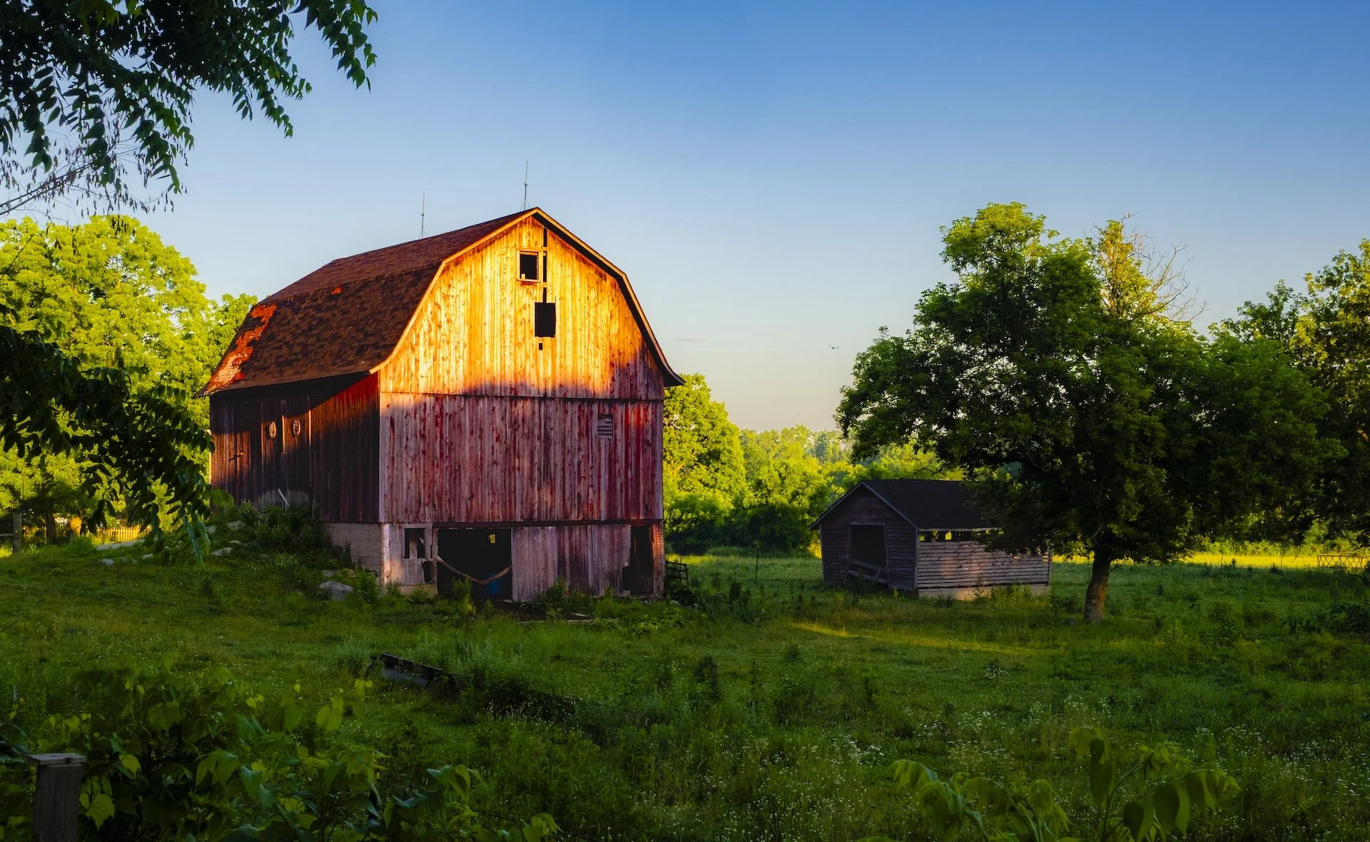 nordicbiker-square space.jpg-58.jpg