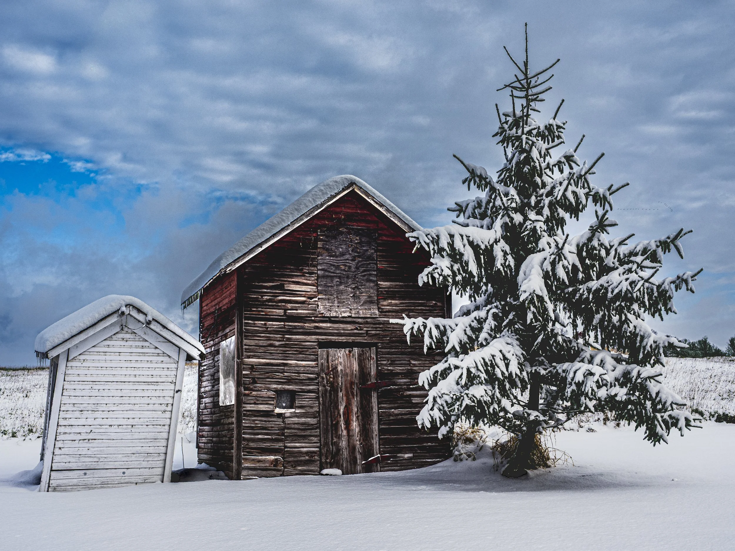 Winterscape
