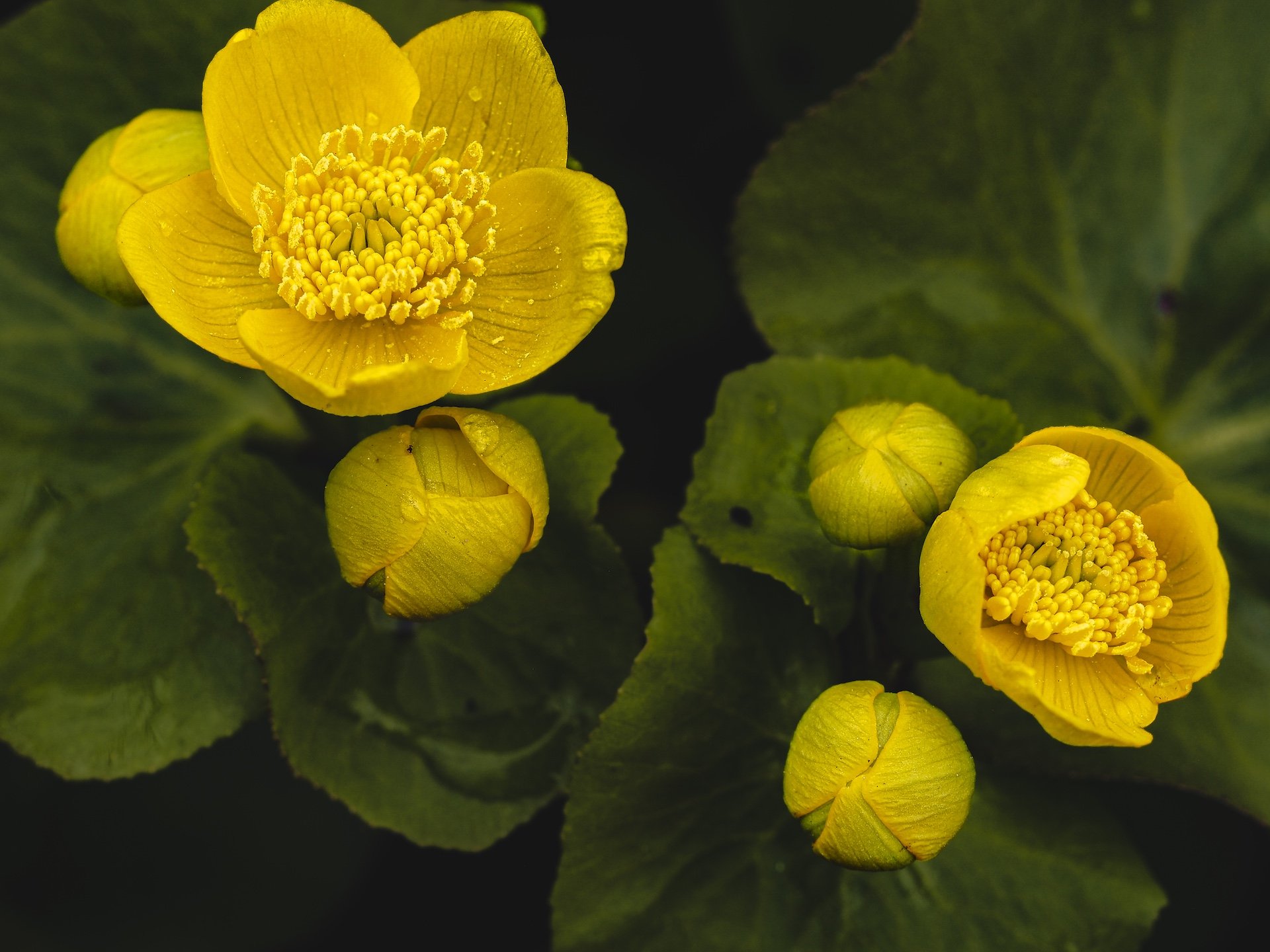 nordicbiker-square space.jpg-84.jpg