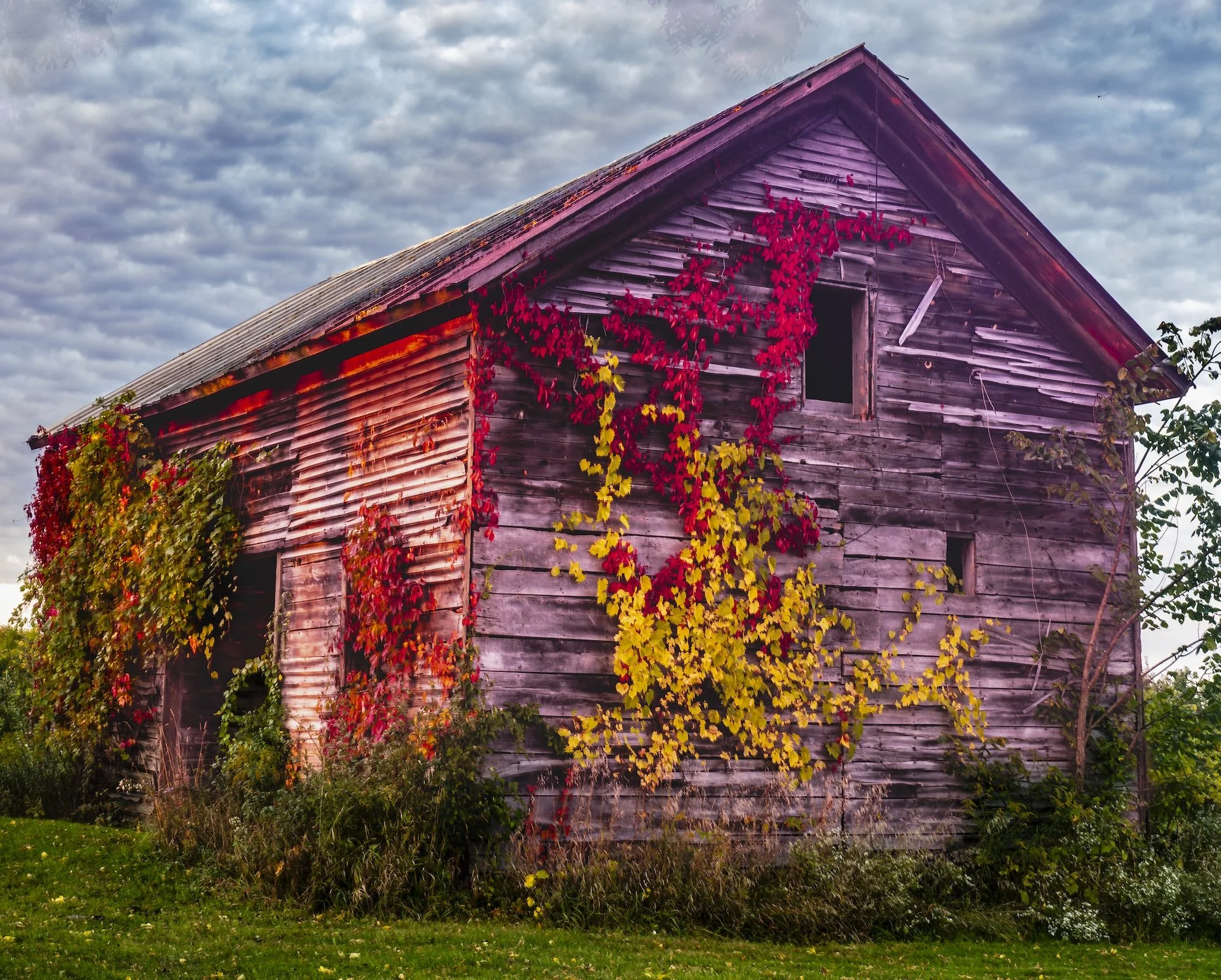 nordicbiker-square space.jpg-26.jpg