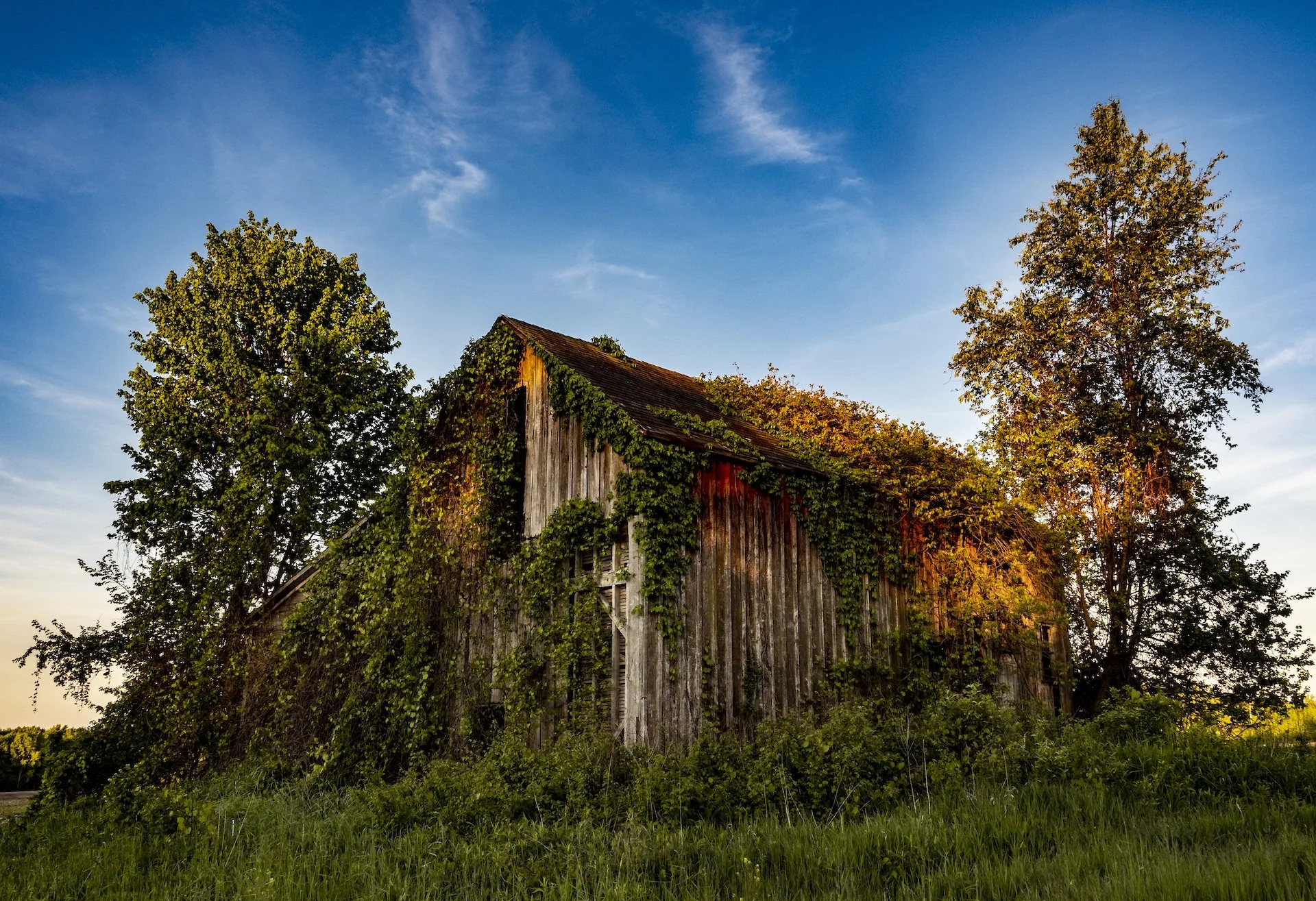 nordicbiker-square space.jpg-55.jpg