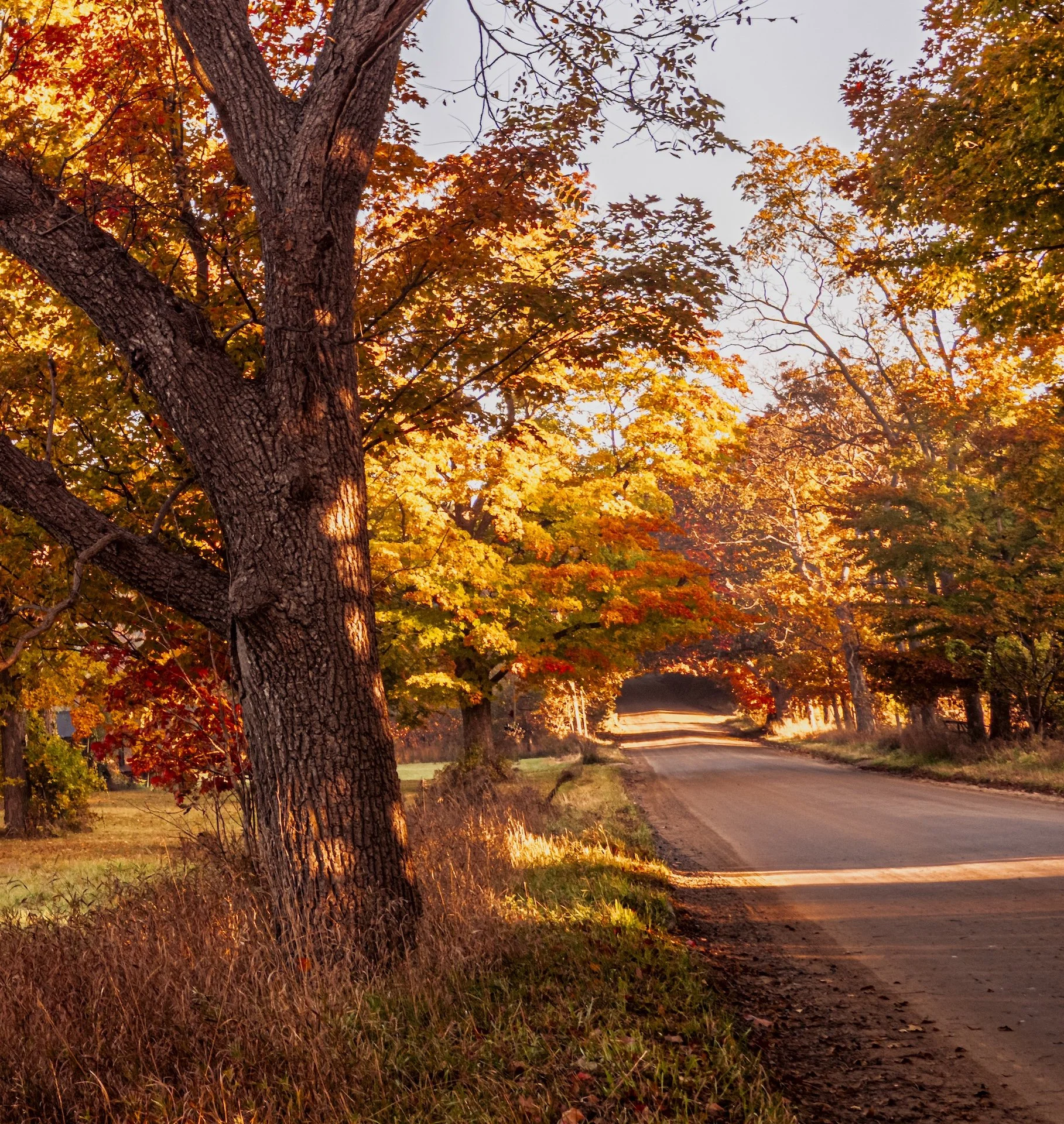 nordicbiker-square space.jpg-23.jpg