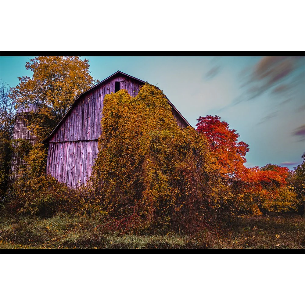 2x3 Foreman Barn.jpg