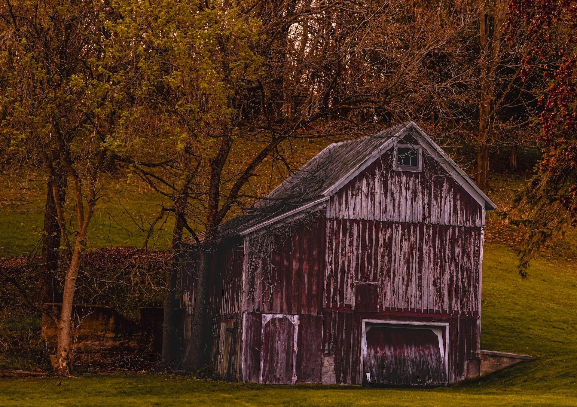 nordicbiker-square space.jpg-47.jpg