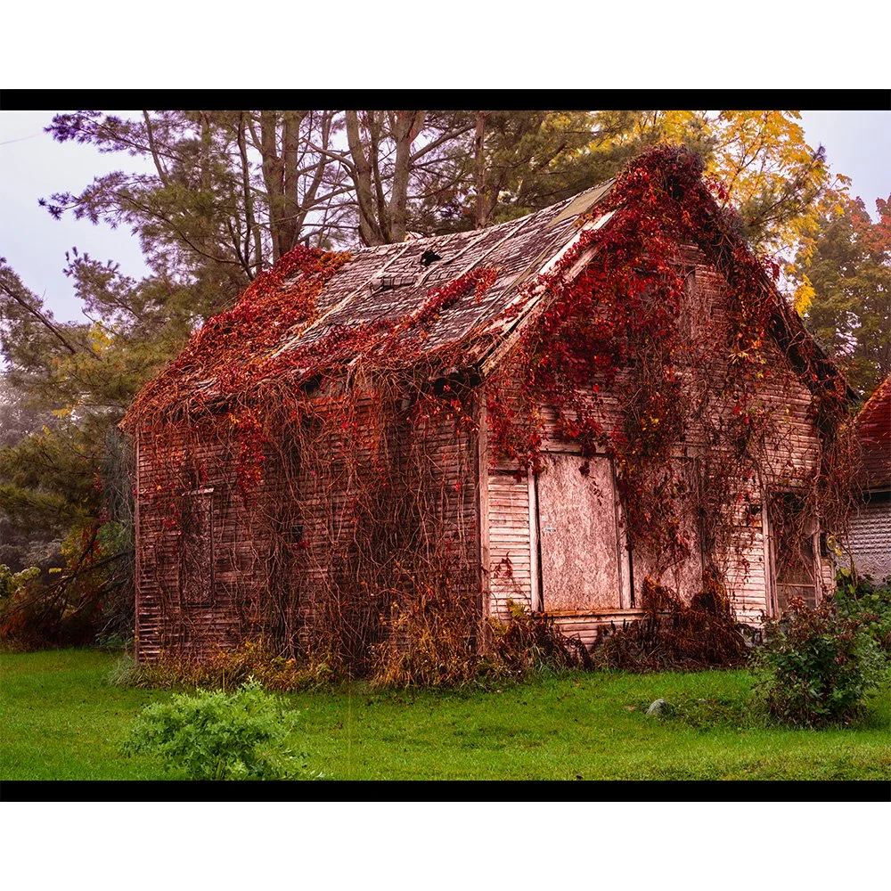 4x5 Sad-Sack Shed.jpg