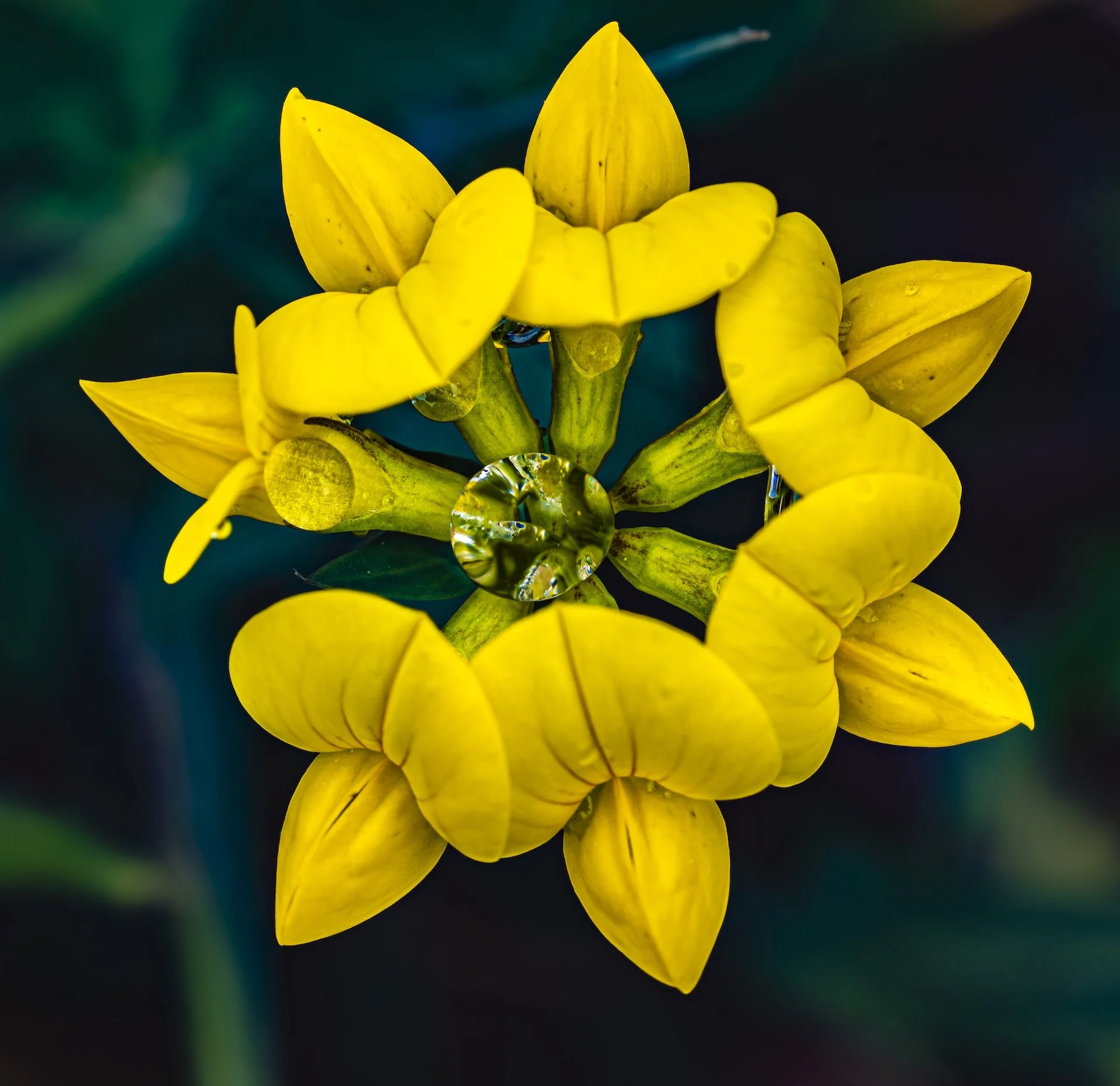 nordicbiker-square space.jpg-38.jpg