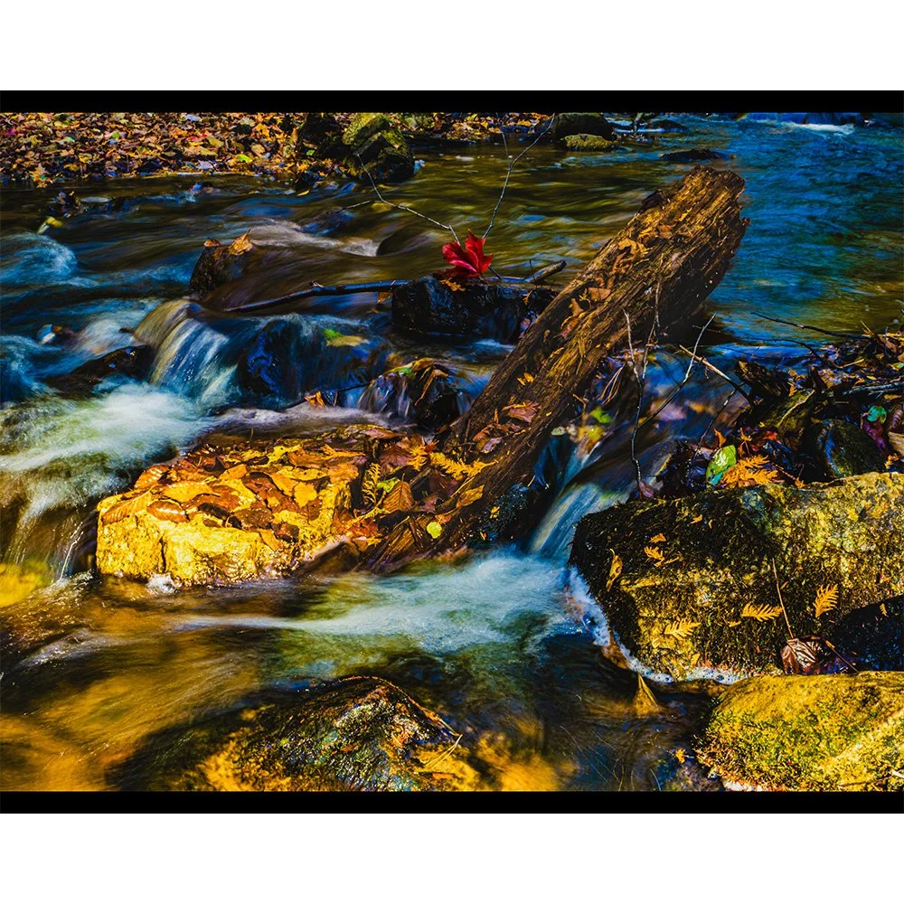 4x5 Trout River.jpg