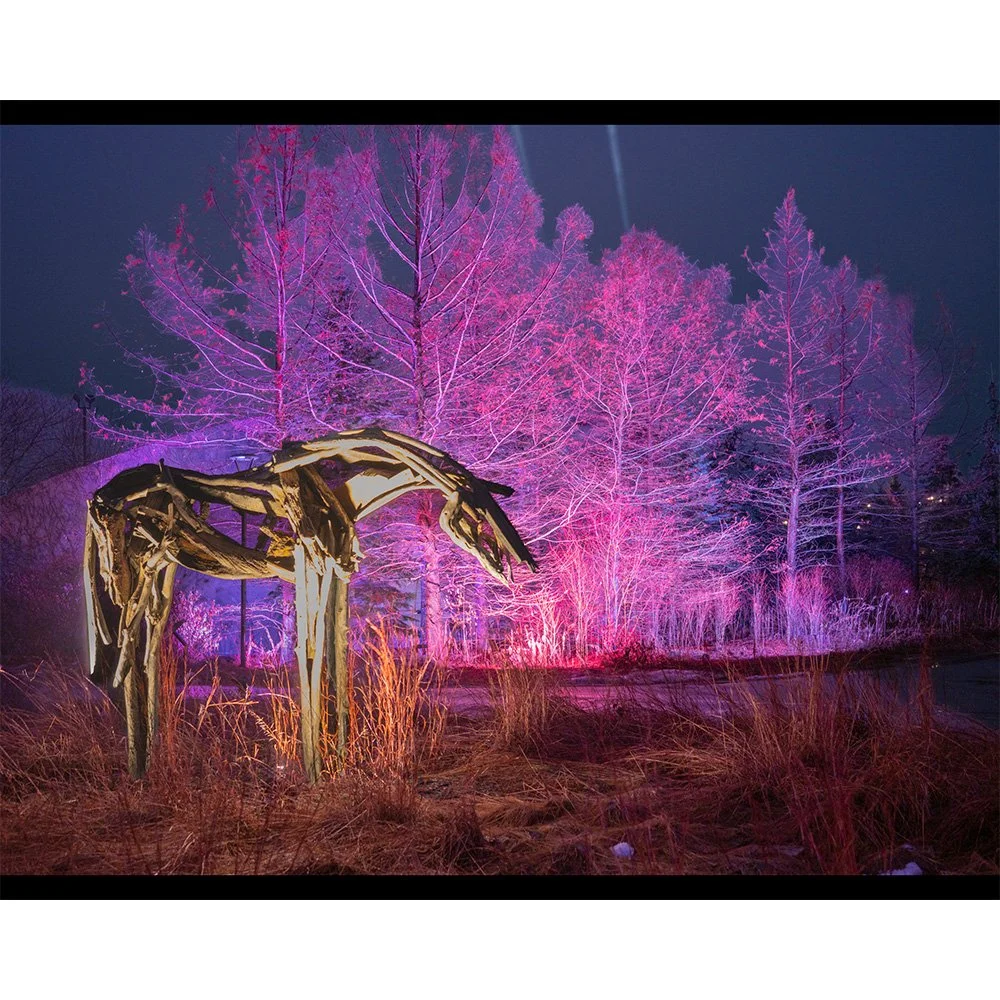 4x5 The Horse - Meijer Gardens.jpg