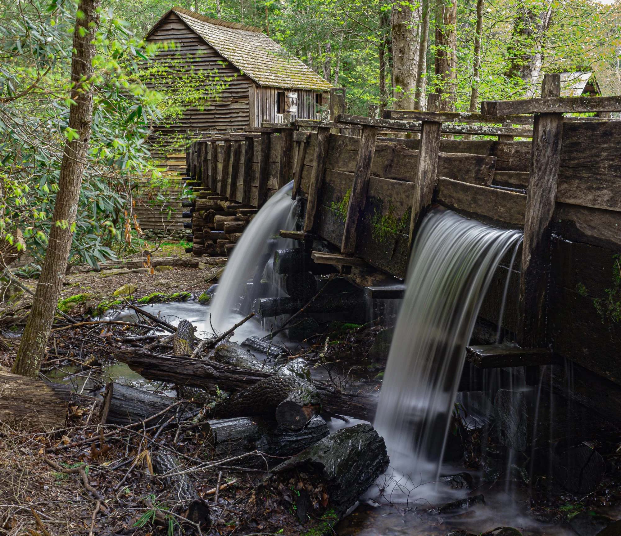 nordicbiker-square space.jpg-7.jpg