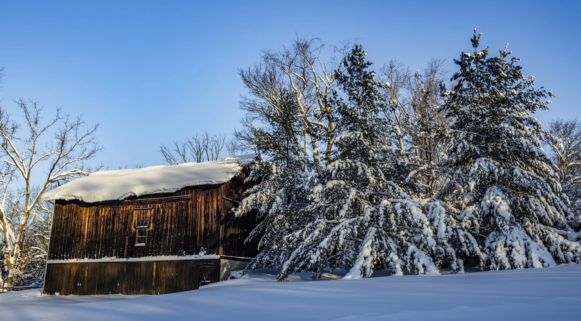 nordicbiker-square space.jpg-18.jpg