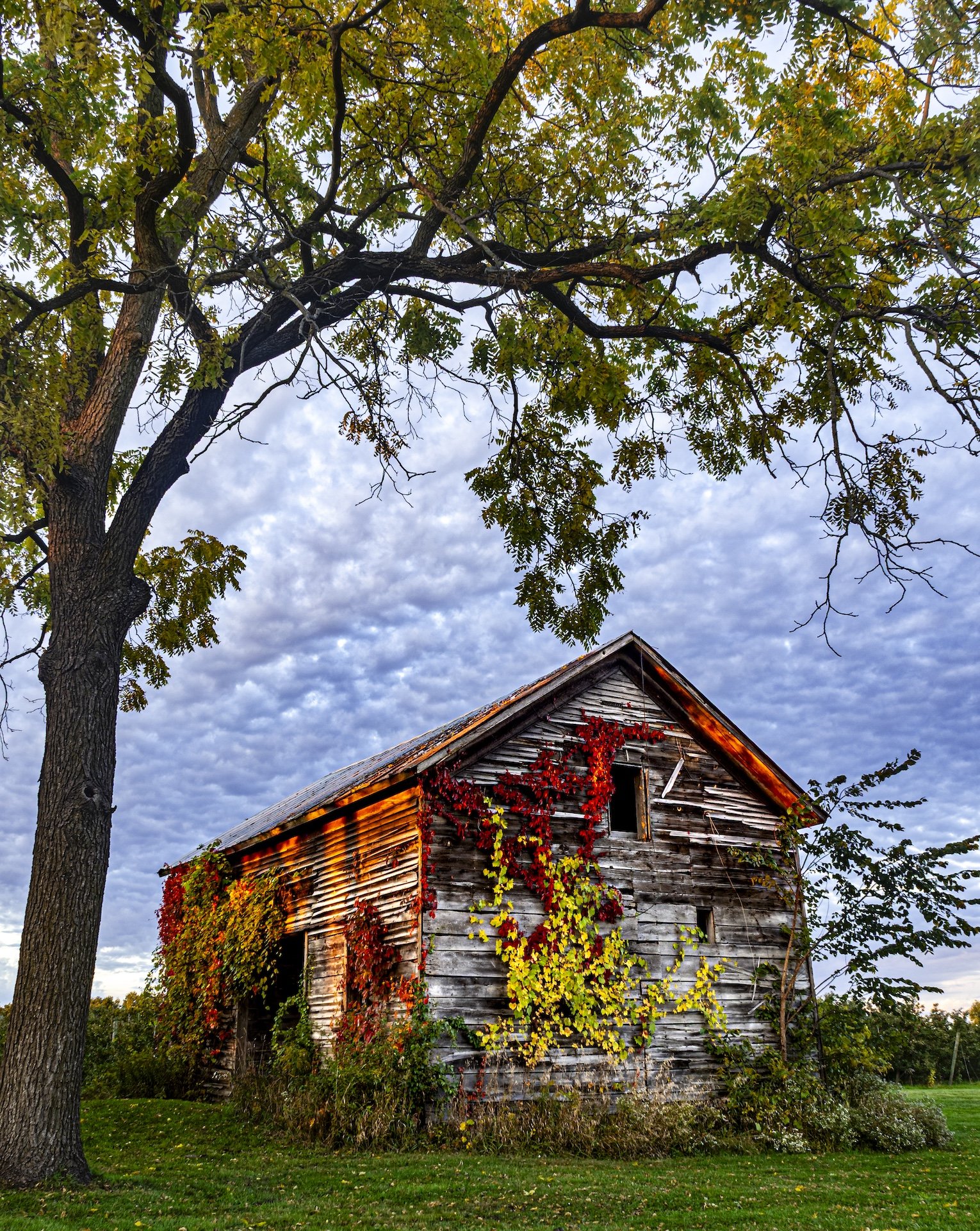 nordicbiker-square space.jpg-27.jpg