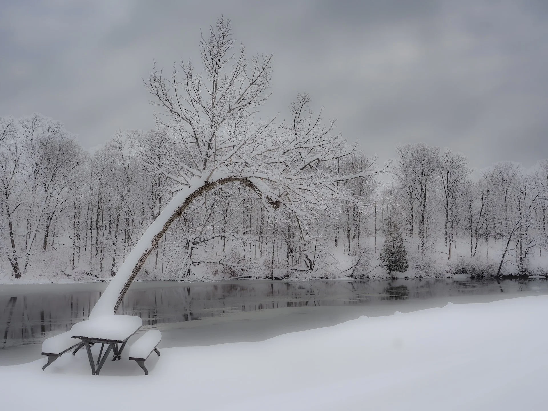 nordicbiker-square space.jpg-88.jpg