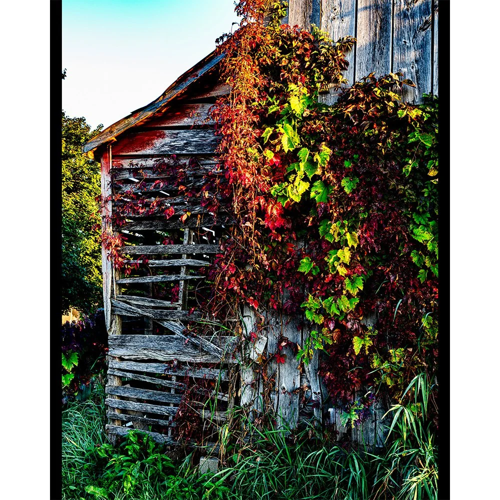 4x5 Adorned Corn Crib.jpg