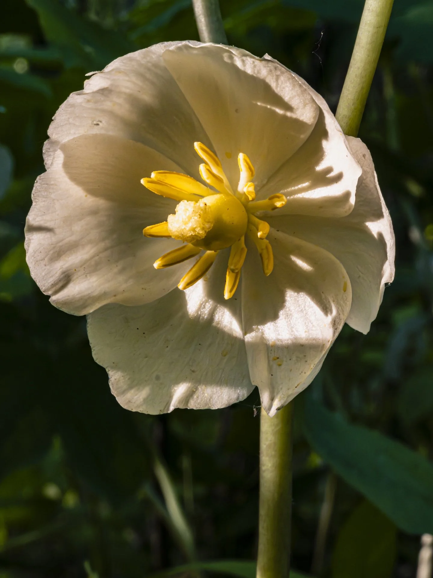 nordicbiker-square space.jpg-52.jpg