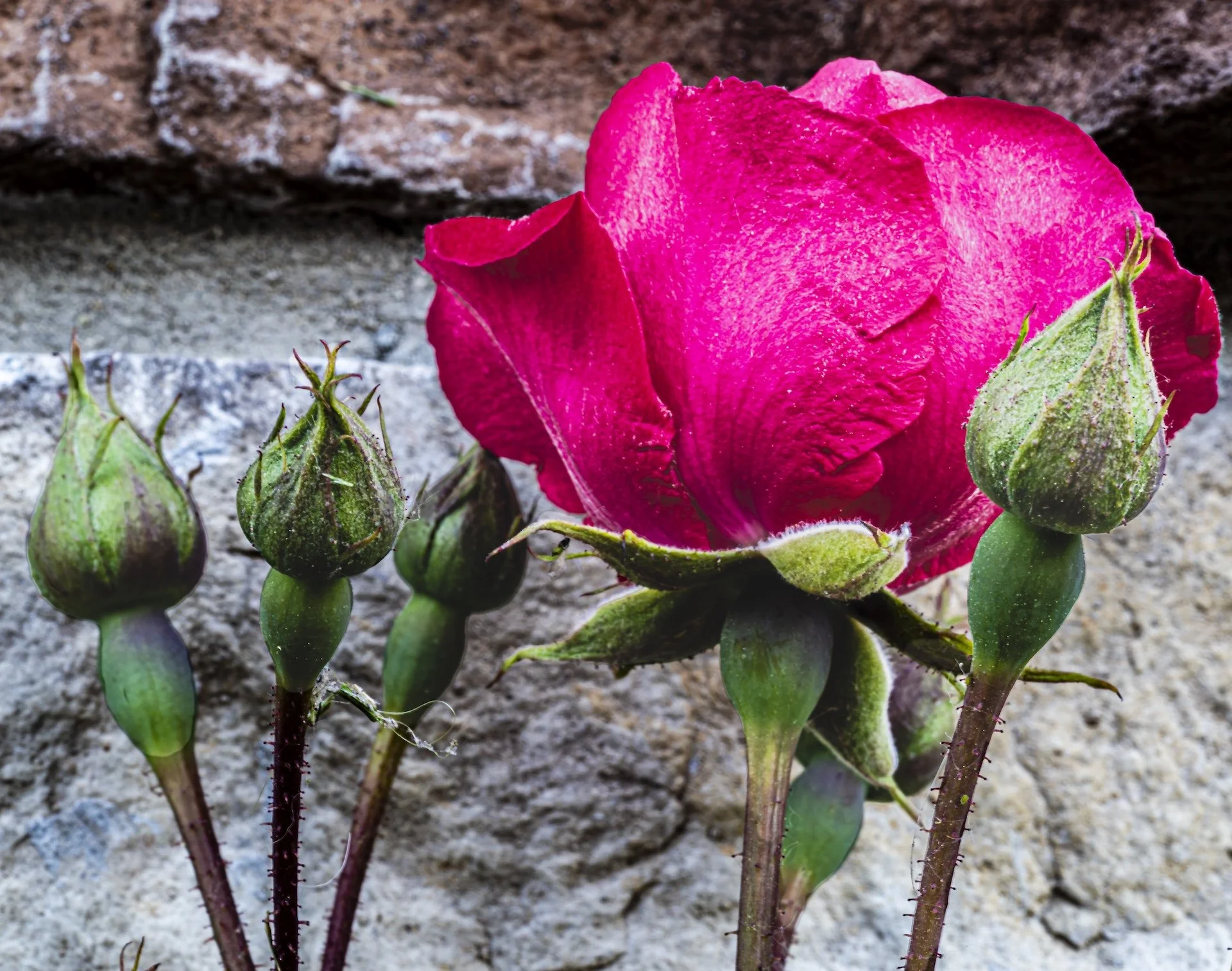 nordicbiker-square space.jpg-37.jpg